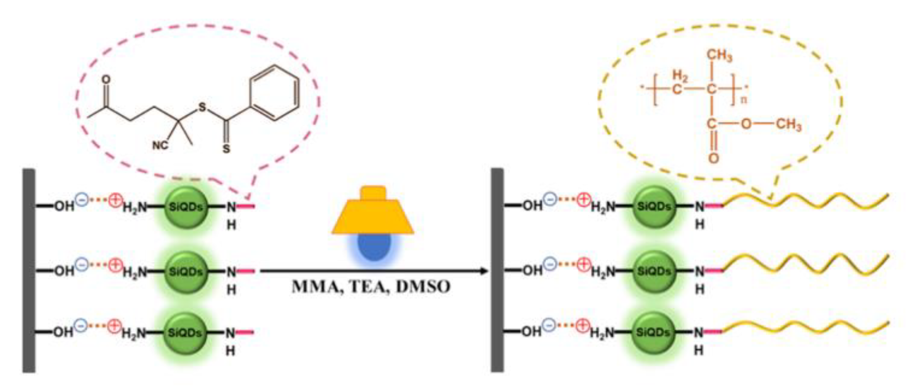 Polymers 13 01119 g011