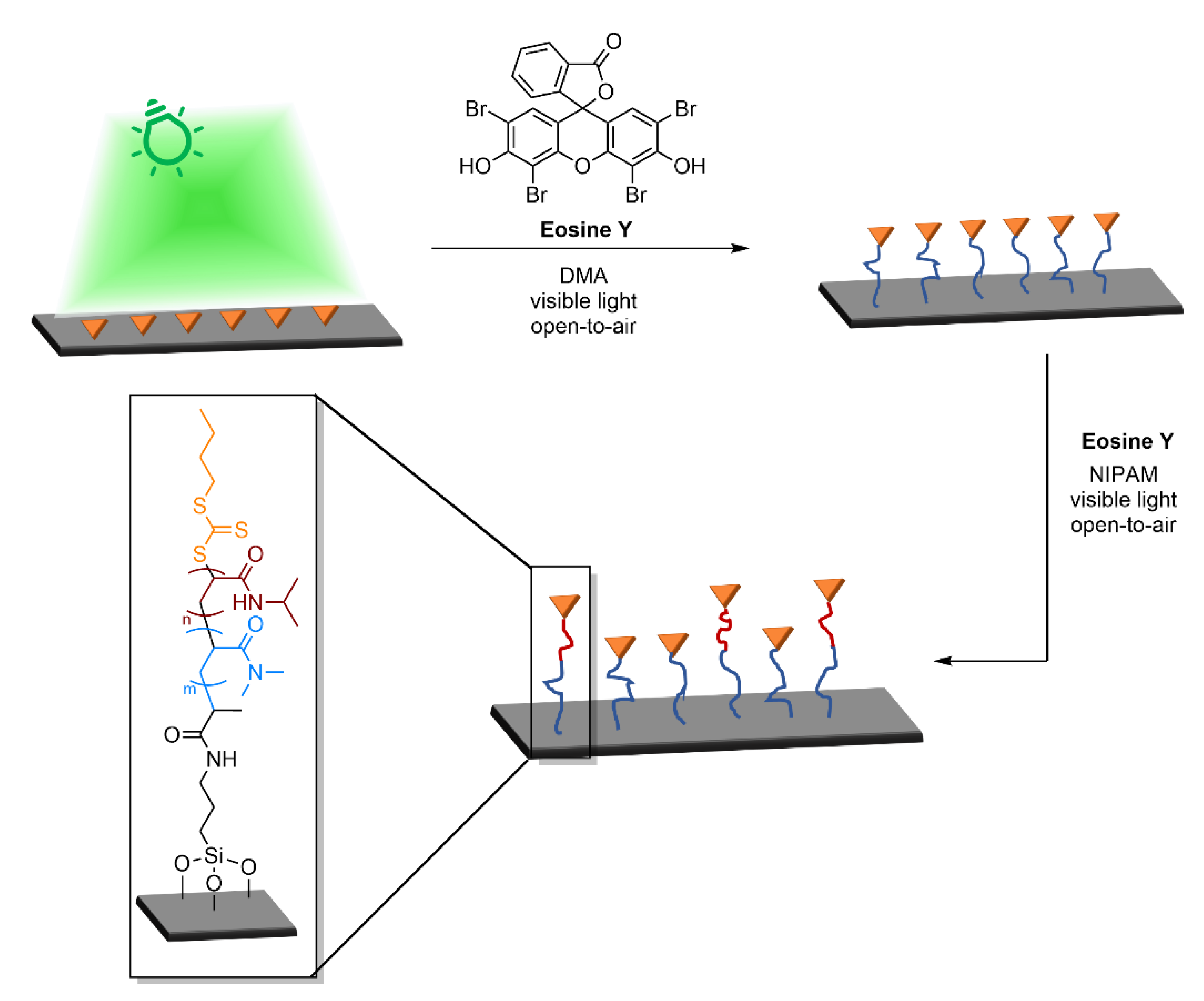 Polymers 13 01119 g013