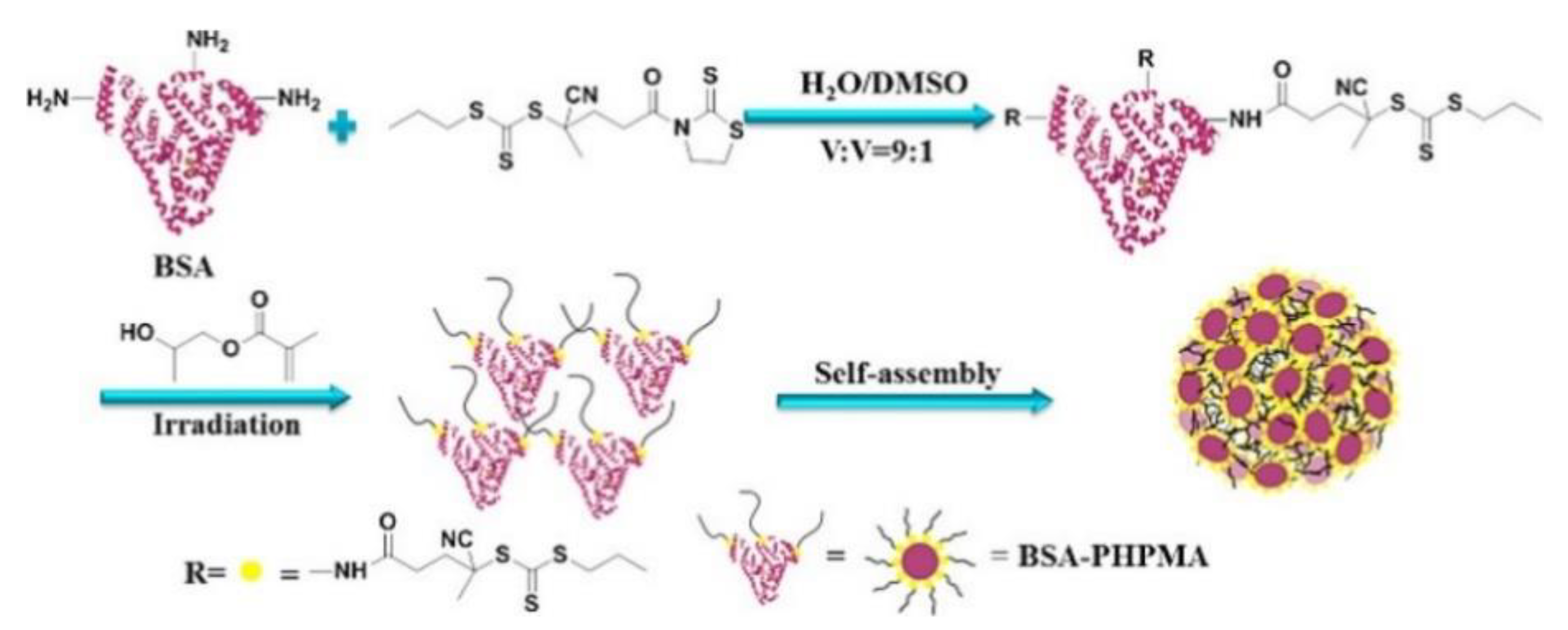 Polymers 13 01119 g016