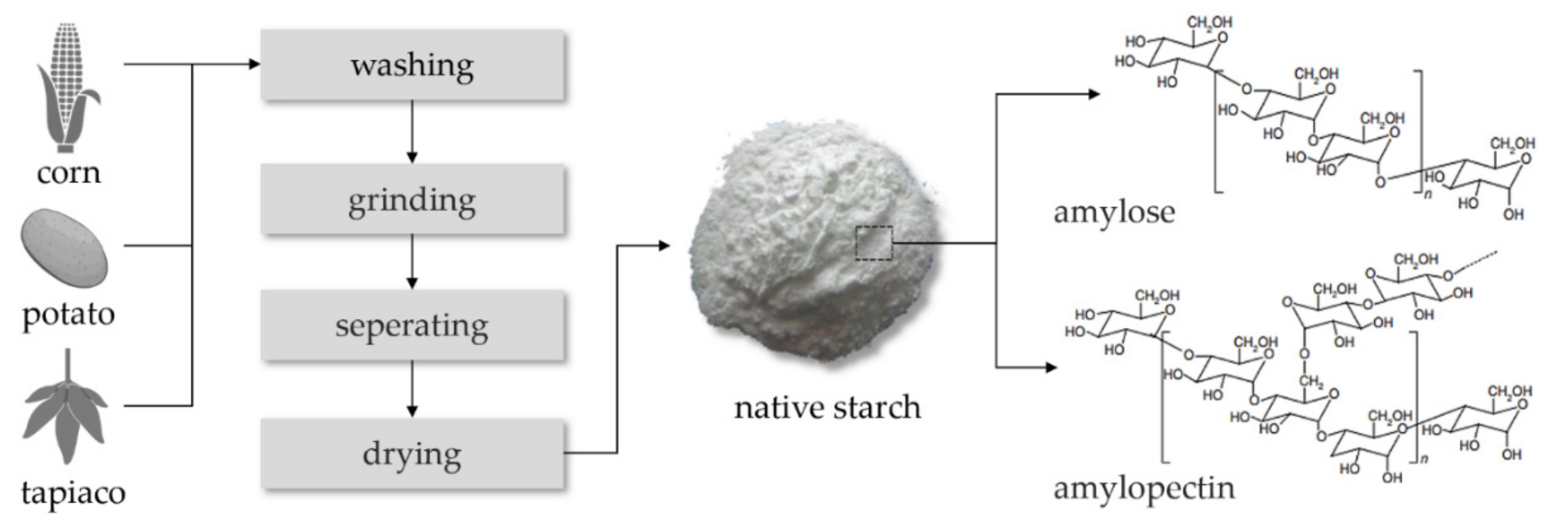 Polymers 13 01121 g001