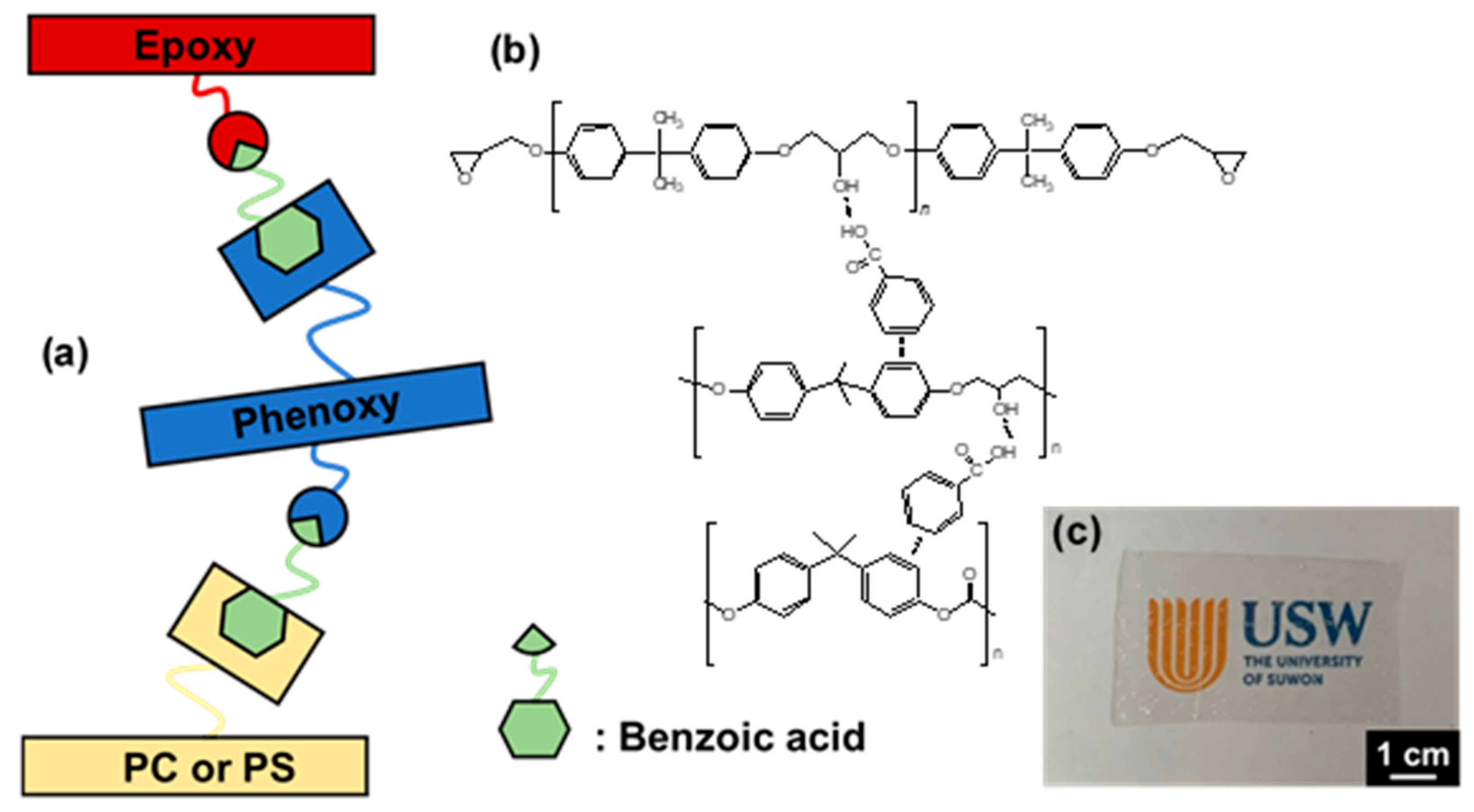 Polymers 13 01129 g002