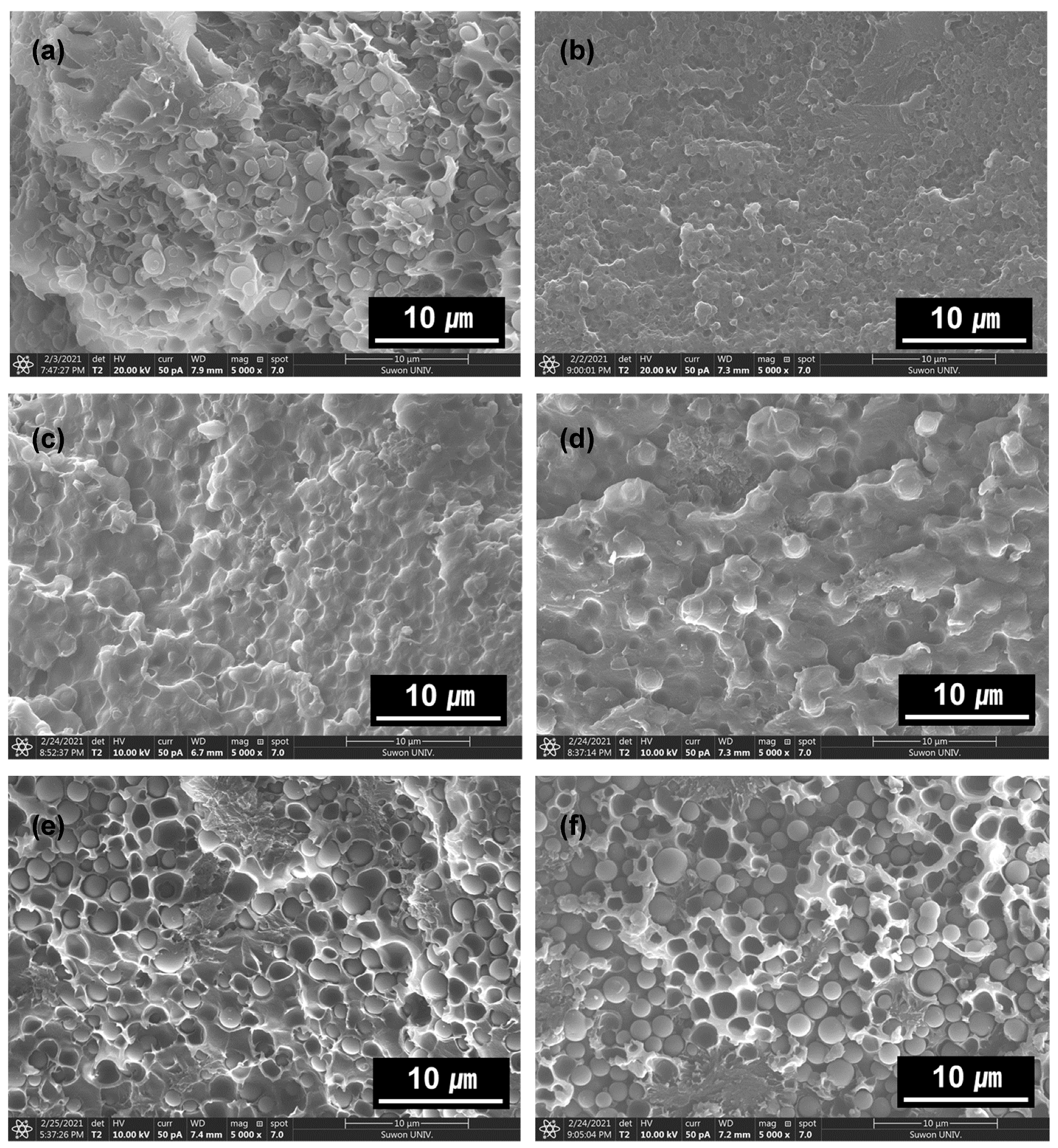 Polymers 13 01129 g007