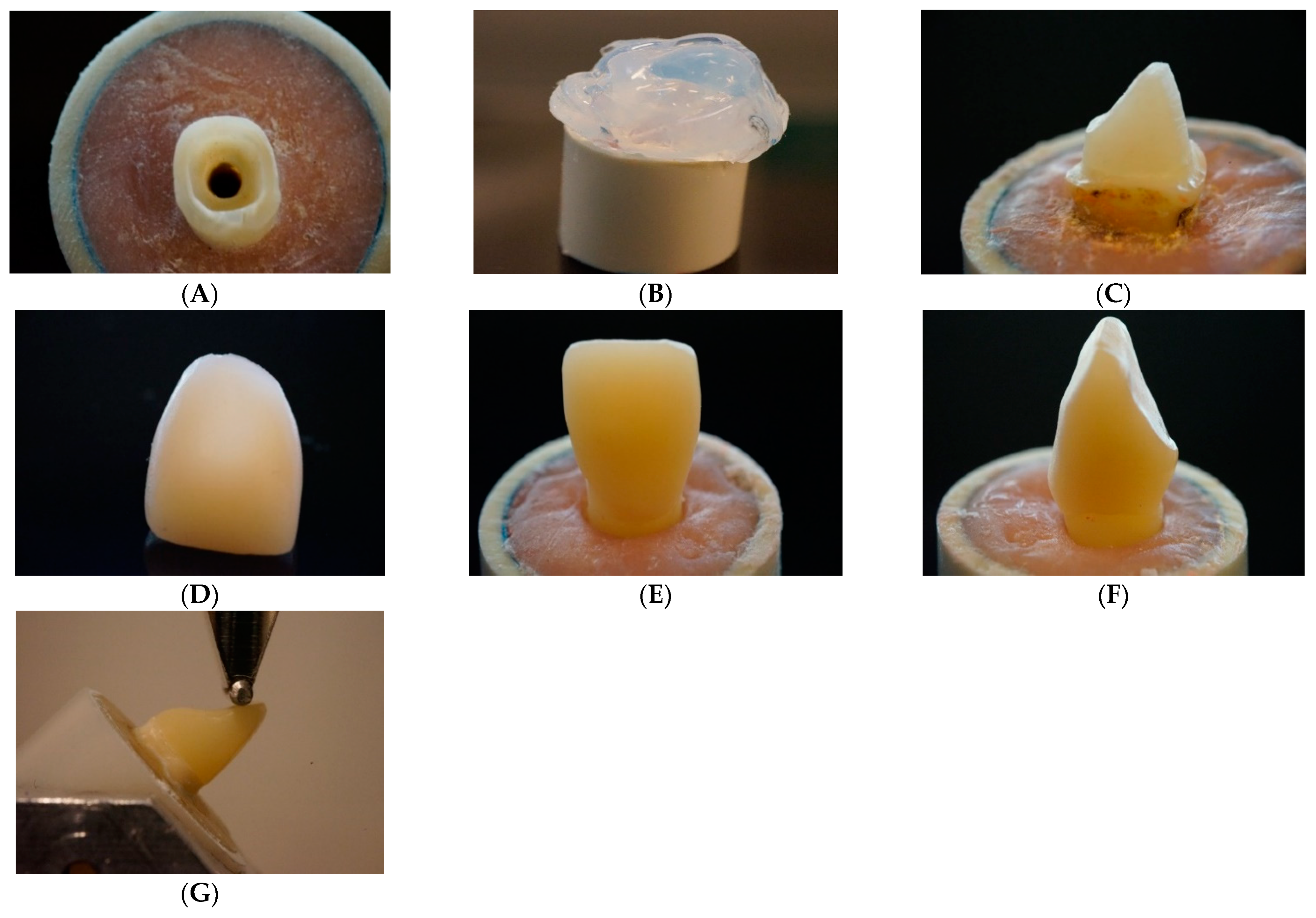 Polymers 13 01130 g001 Polymers 13 01130 g001