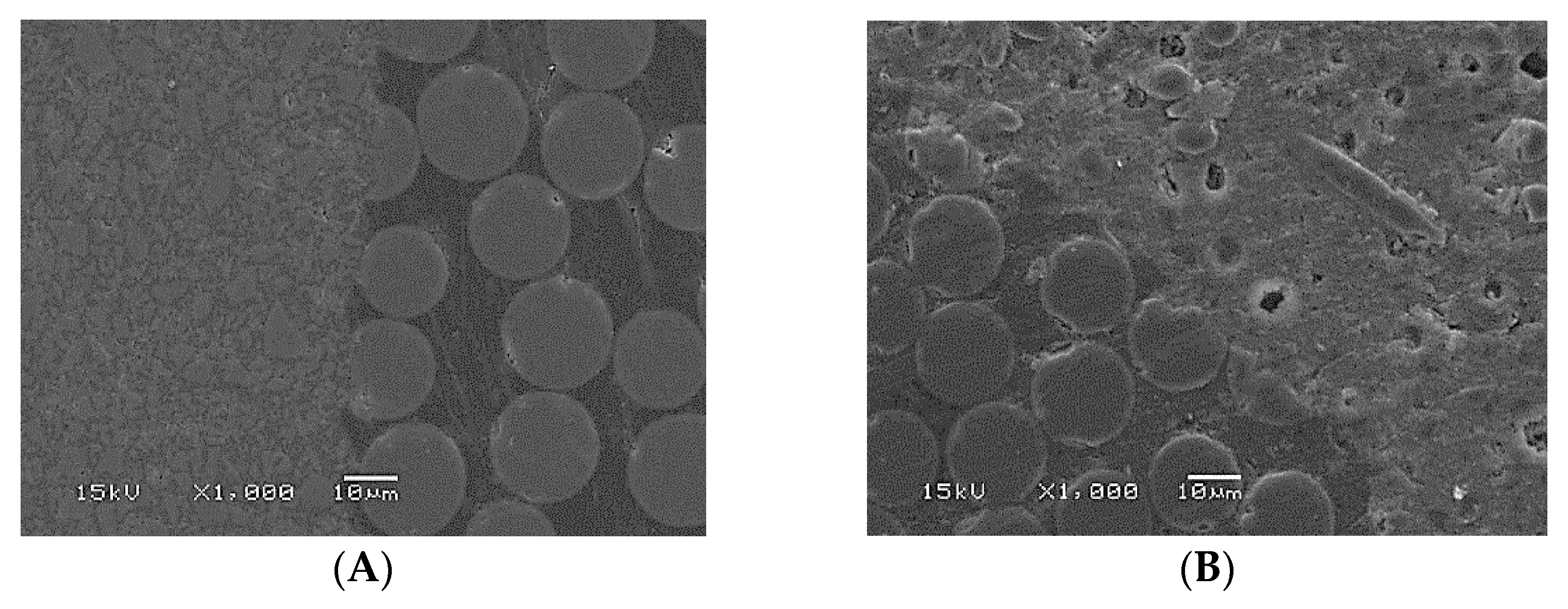 Polymers 13 01130 g005a Polymers 13 01130 g005a