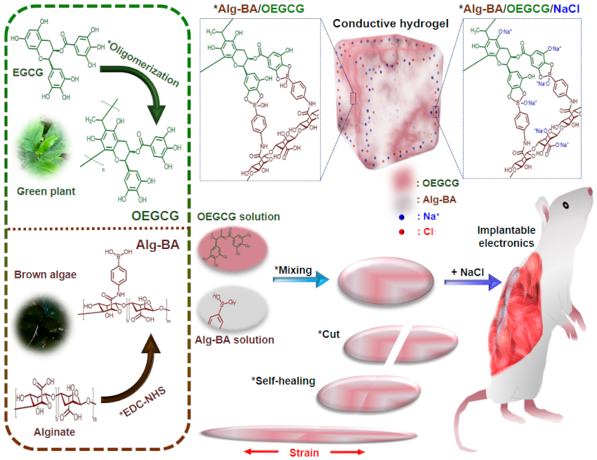 Polymers 13 01133 g001 Polymers 13 01133 g001