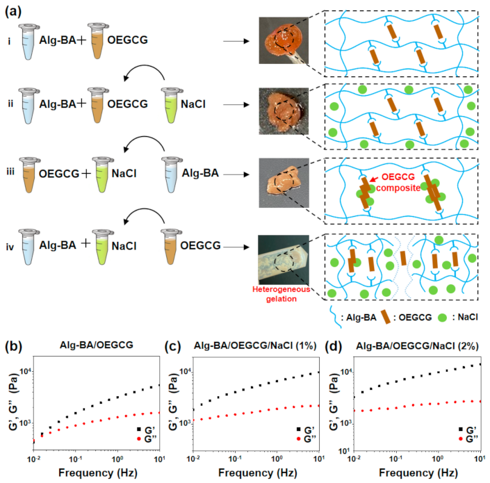 Polymers 13 01133 g002 Polymers 13 01133 g002