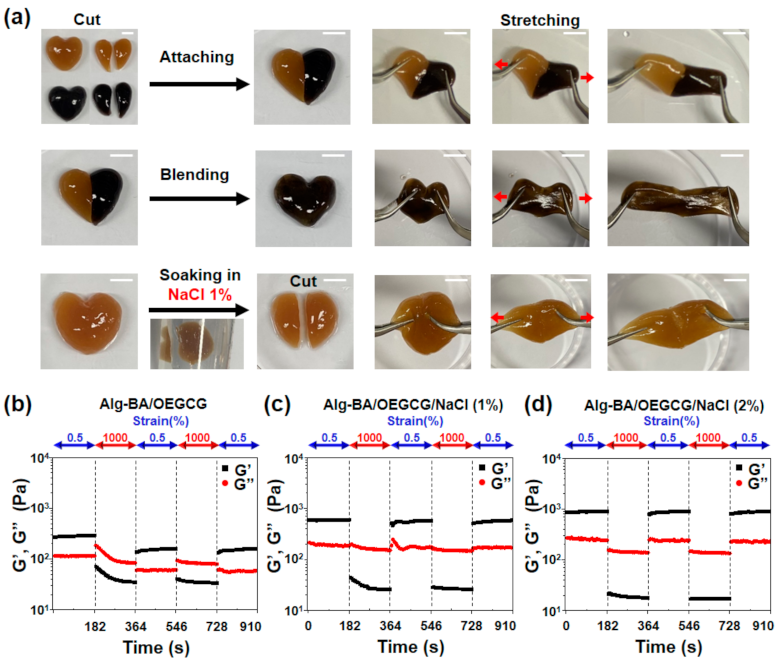 Polymers 13 01133 g005 Polymers 13 01133 g005