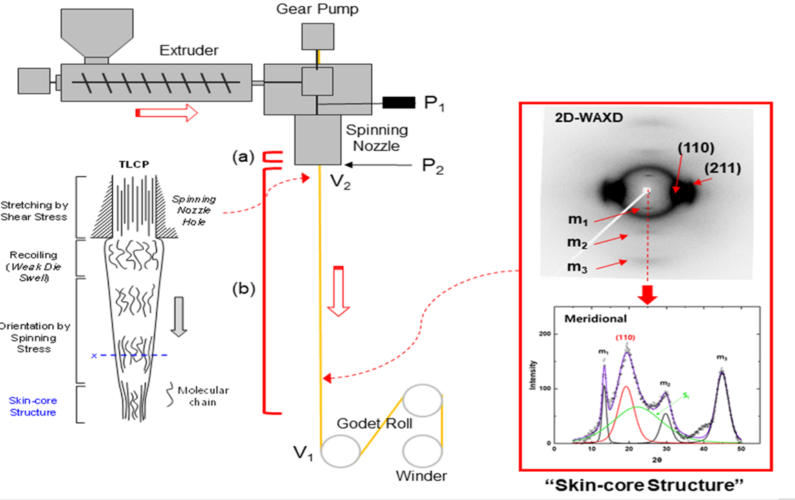 Polymers Free FullText Fiber Formation and Structural Development