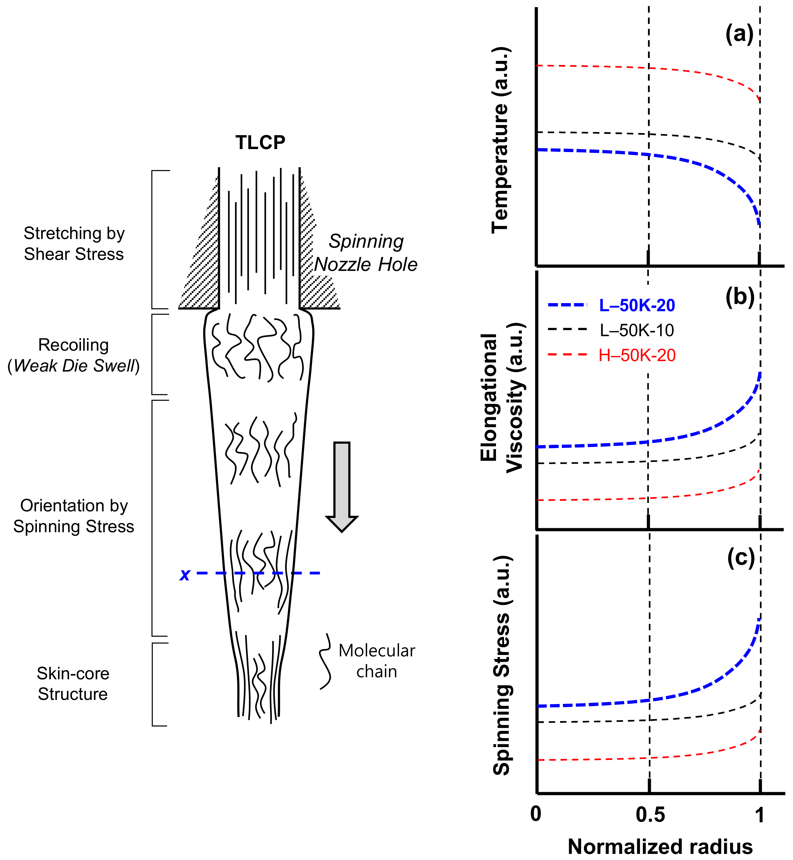 Polymers 13 01134 g010