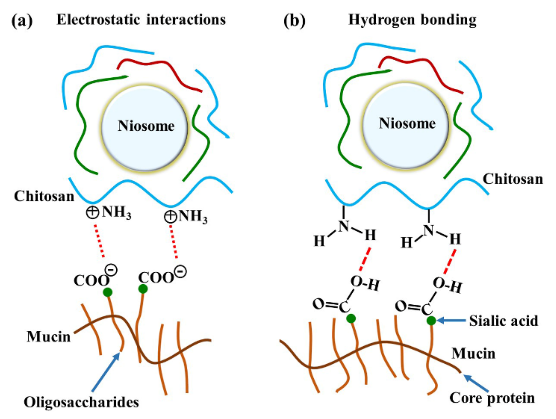Polymers 13 01142 g006 Polymers 13 01142 g006
