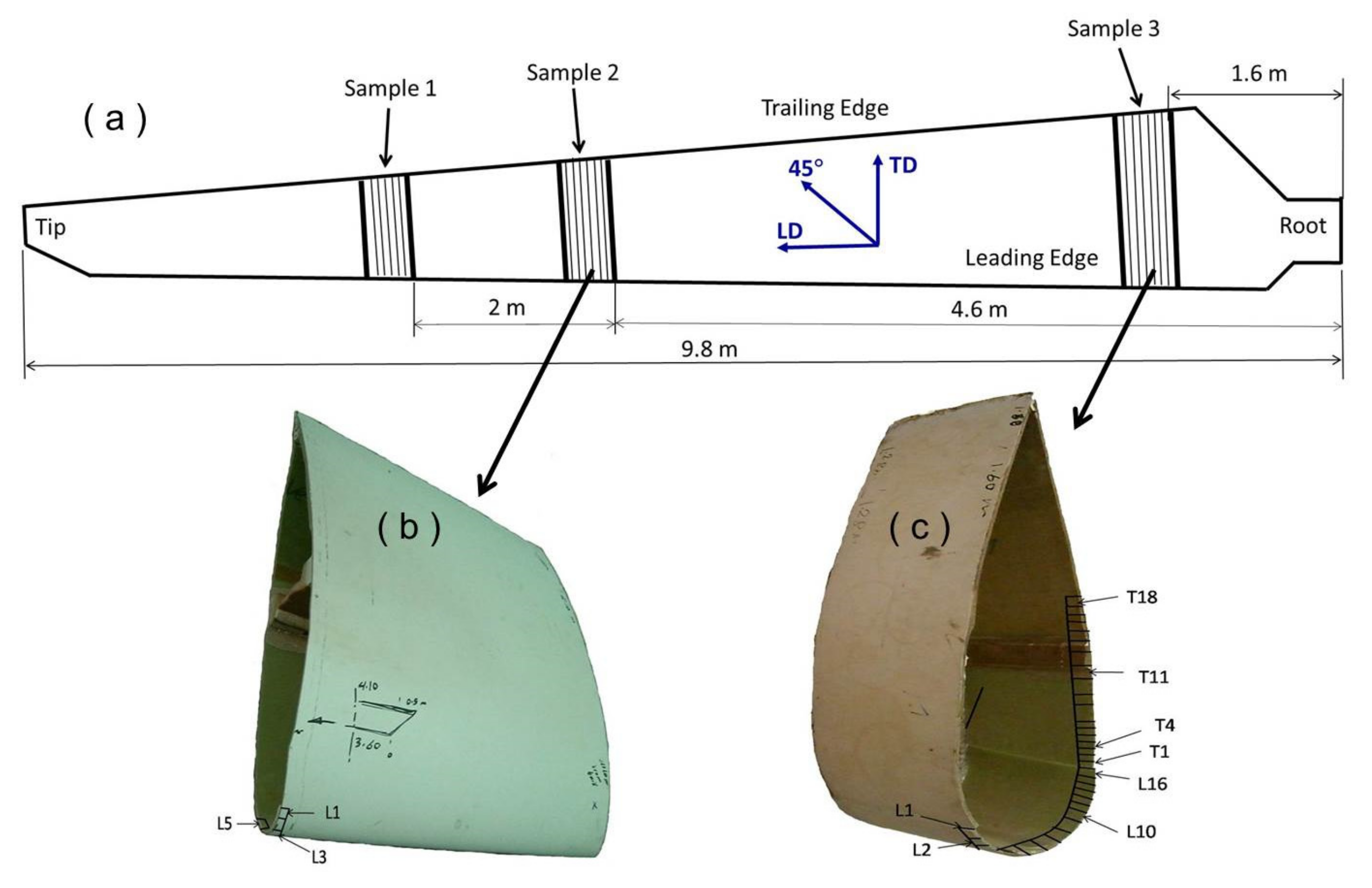 Polymers 13 01144 g001