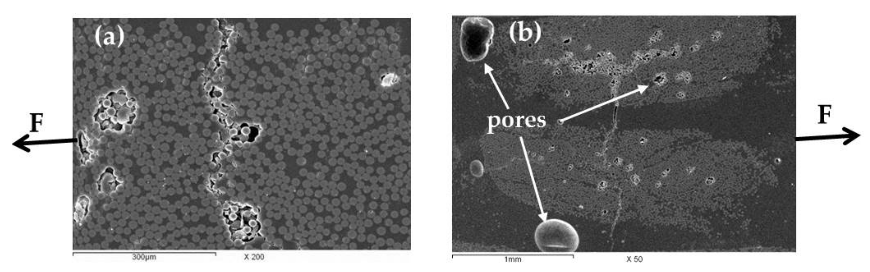 Polymers 13 01144 g007