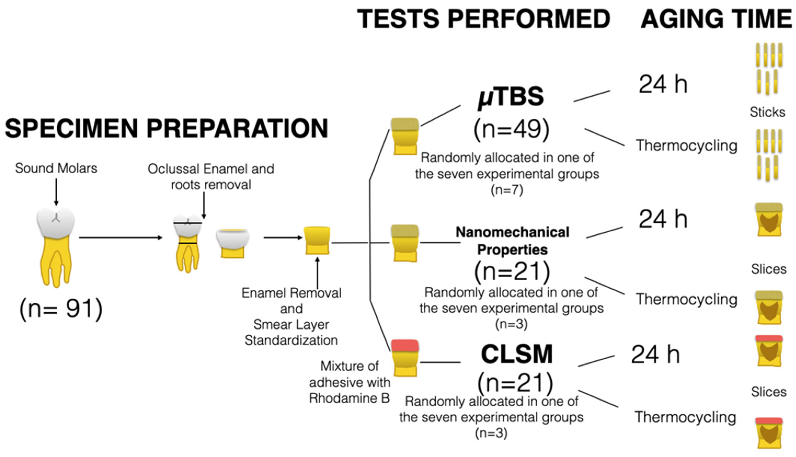 Polymers 13 01145 g001 Polymers 13 01145 g001