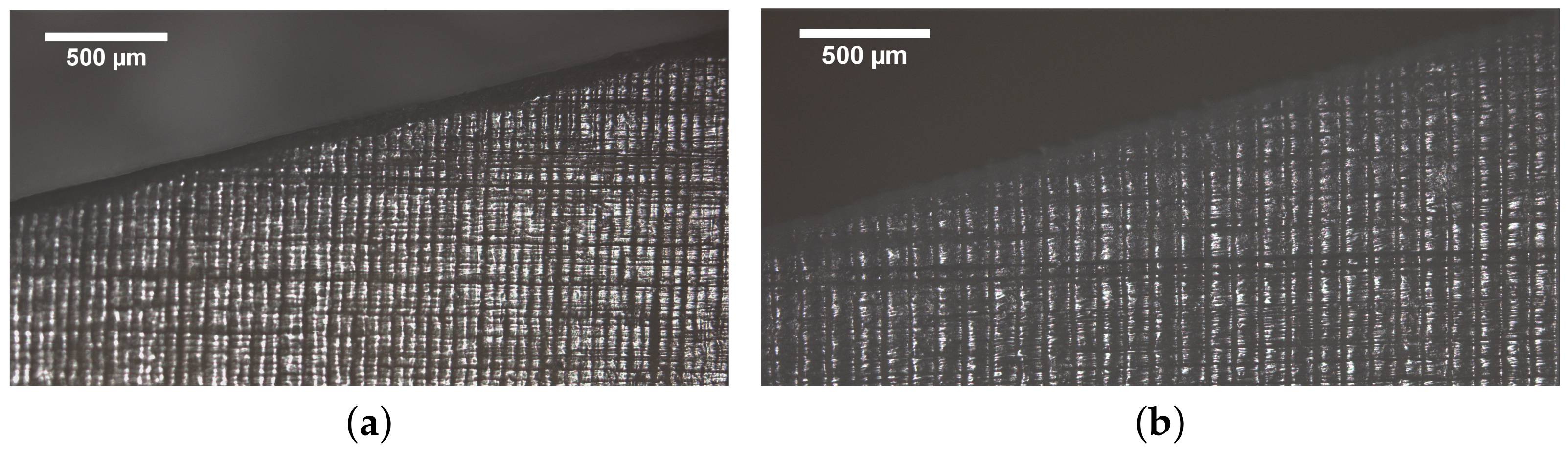 Polymers 13 01147 g010