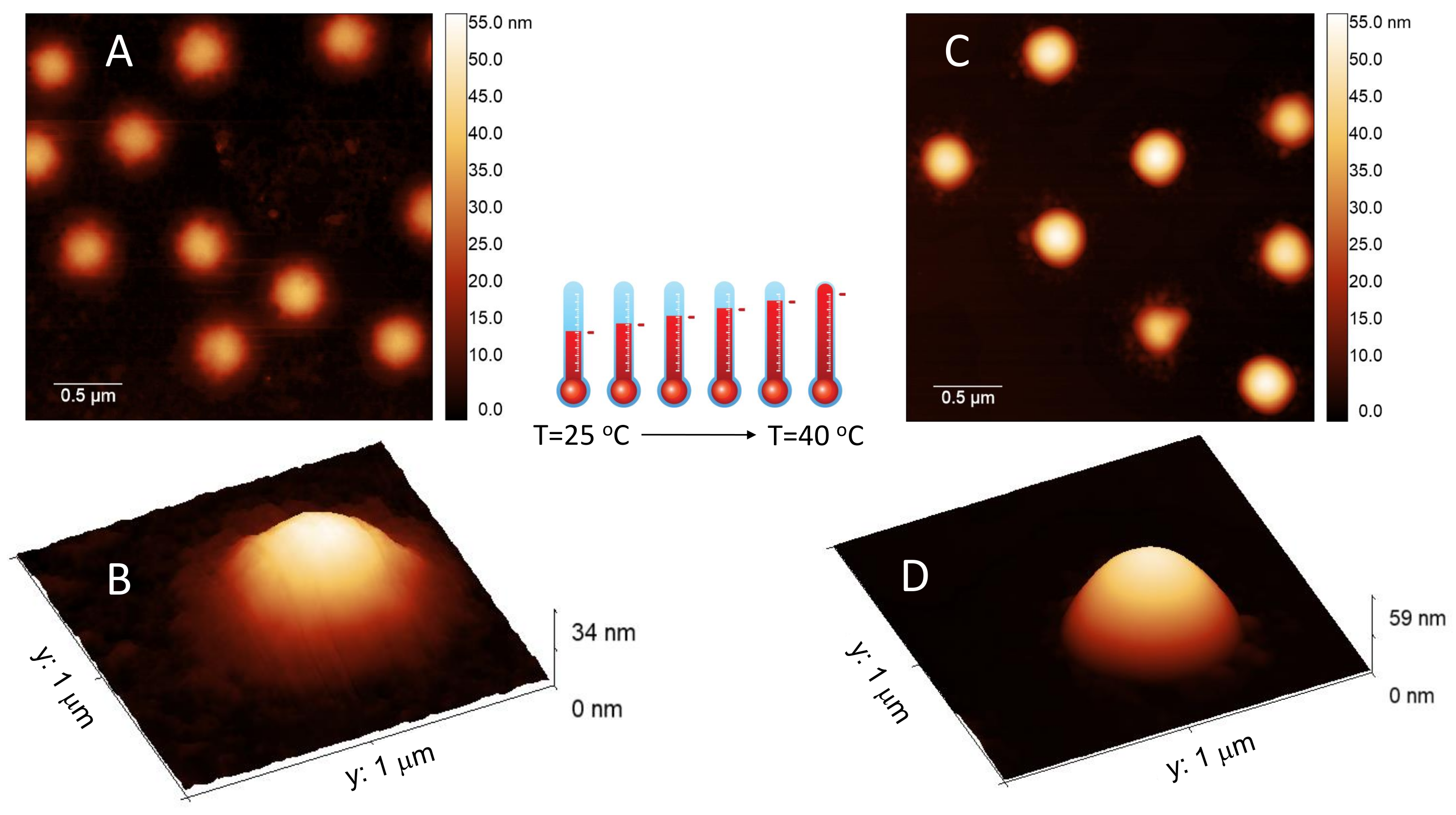 Polymers 13 01153 g004 Polymers 13 01153 g004