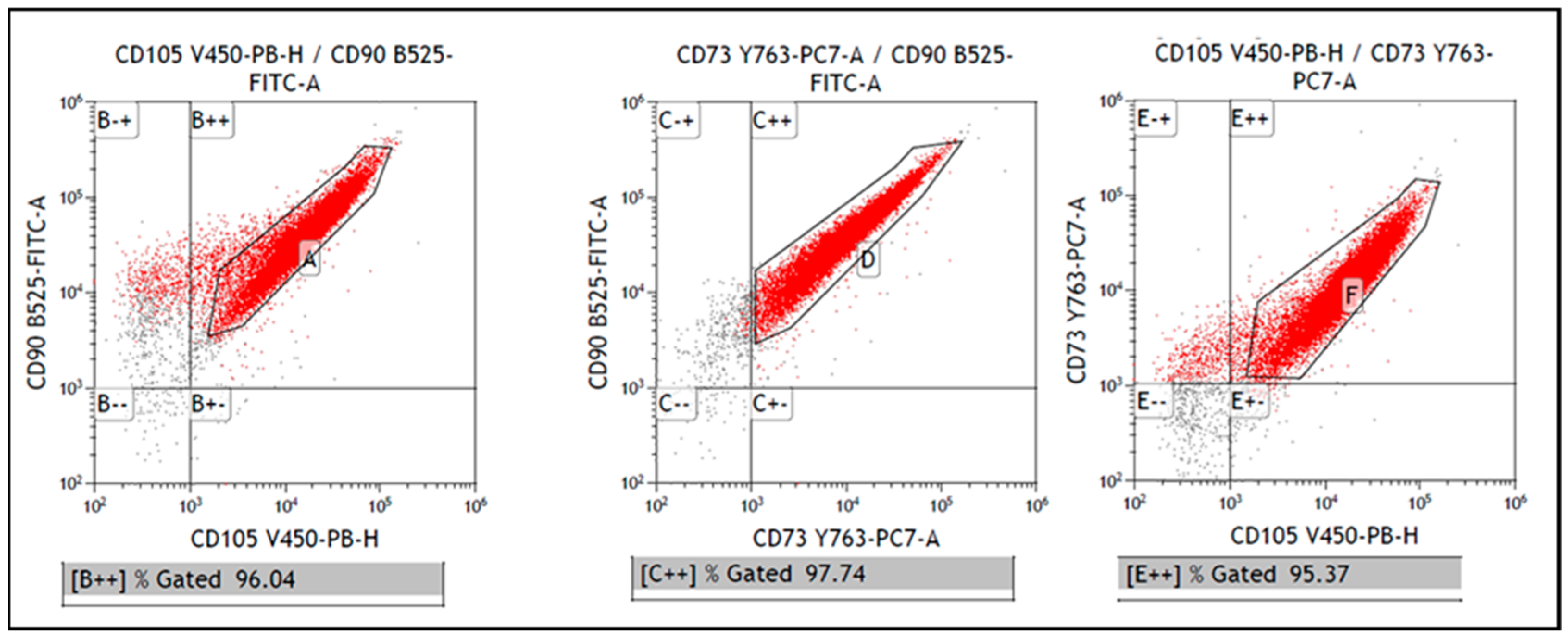 Polymers 13 01154 g003 Polymers 13 01154 g003