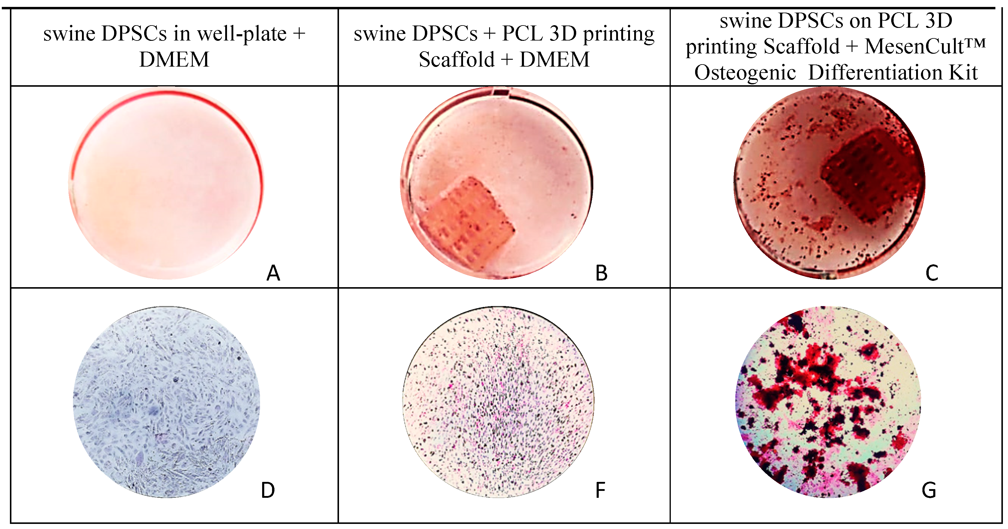 Polymers 13 01154 g007 Polymers 13 01154 g007