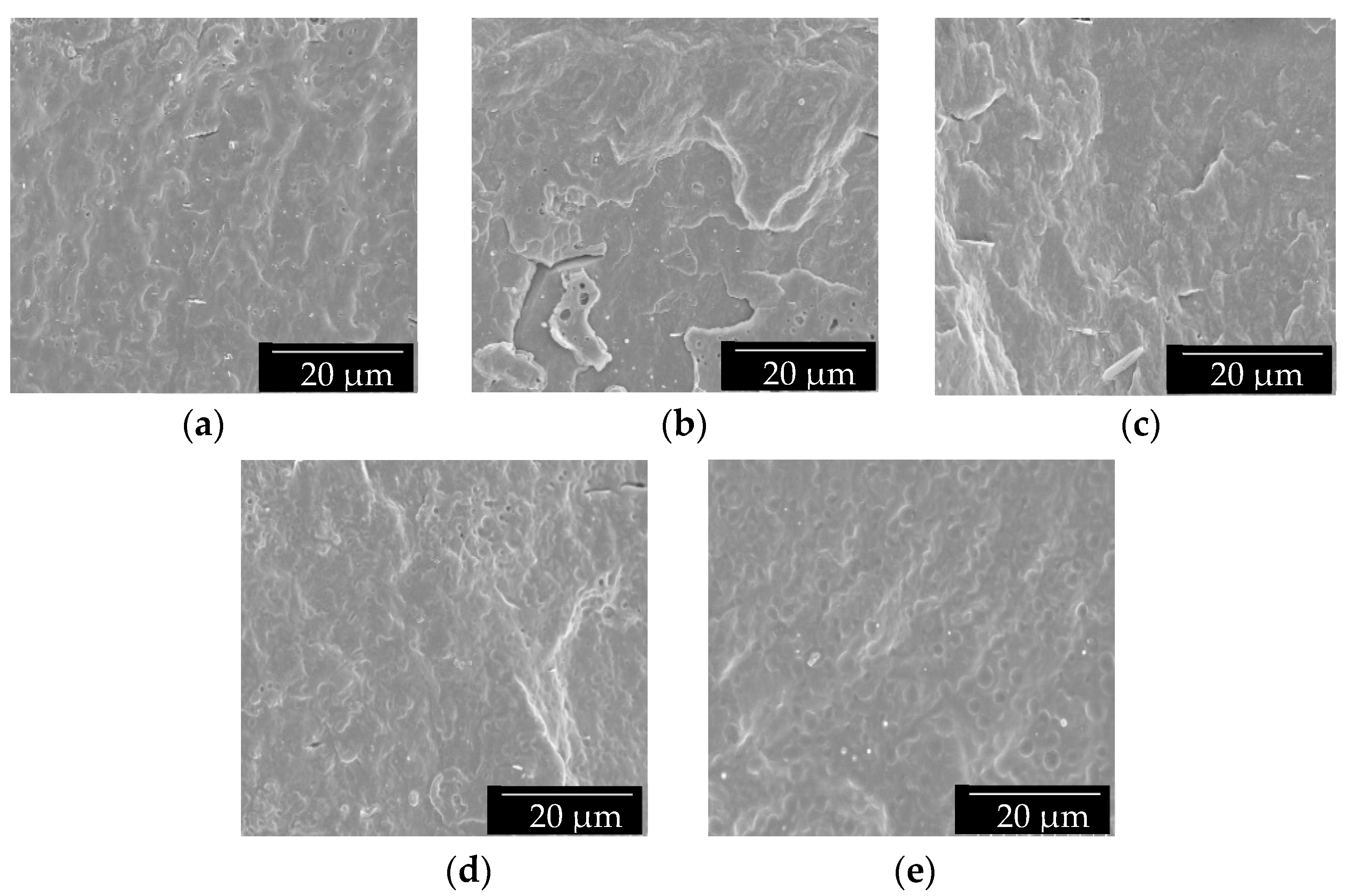 Polymers 13 01155 g001 Polymers 13 01155 g001