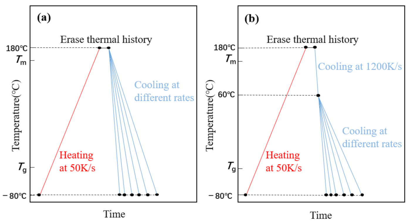 Polymers 13 01156 g001
