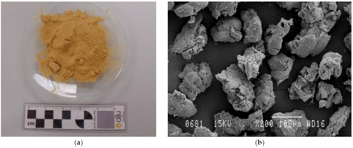 Polymers 13 01159 g001