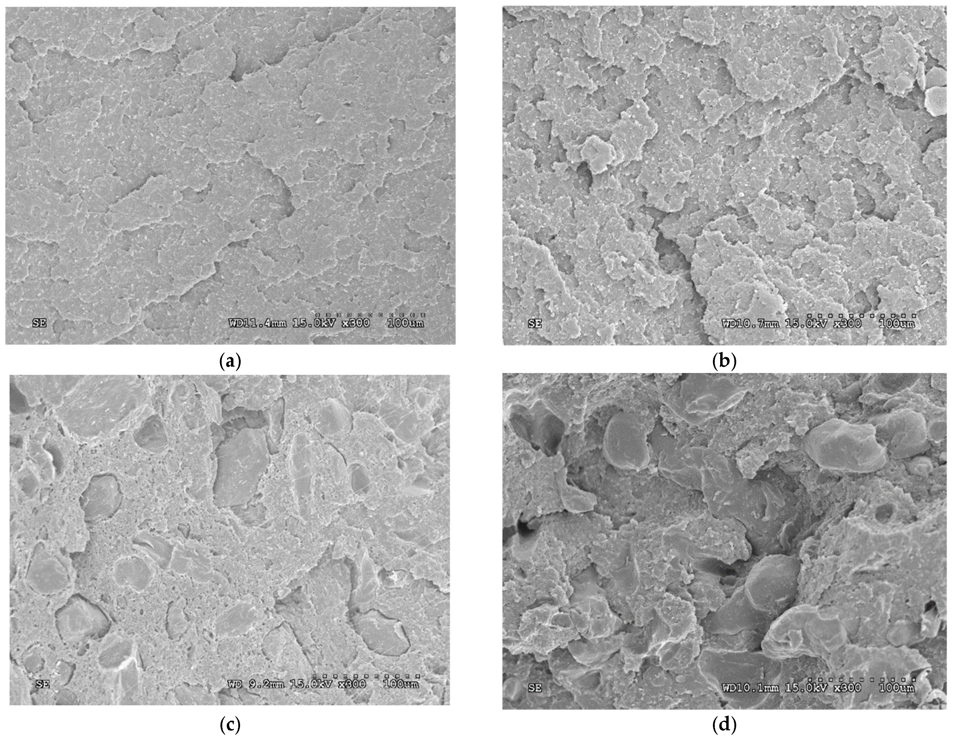 Polymers 13 01159 g008