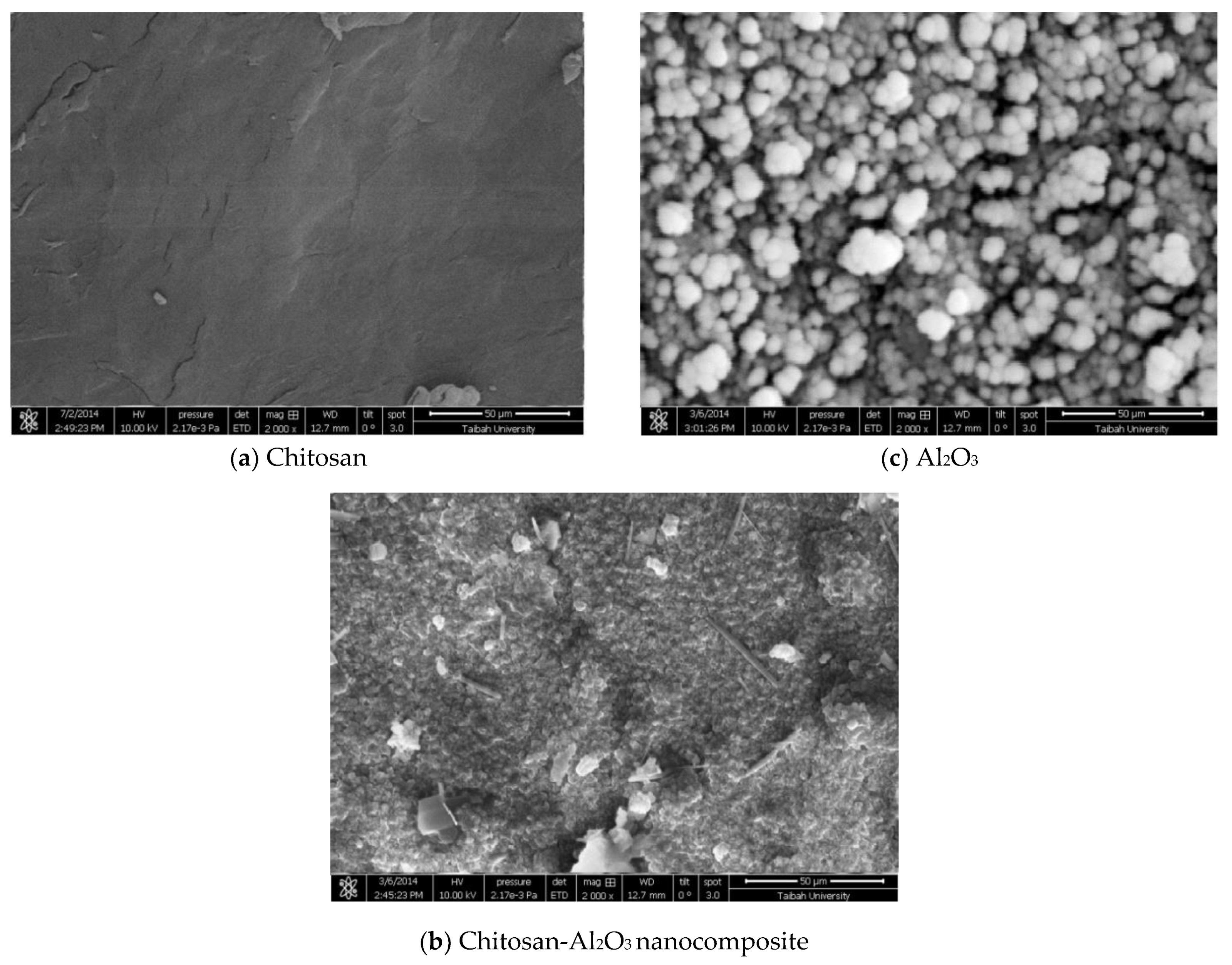 Polymers 13 01160 g003 Polymers 13 01160 g003