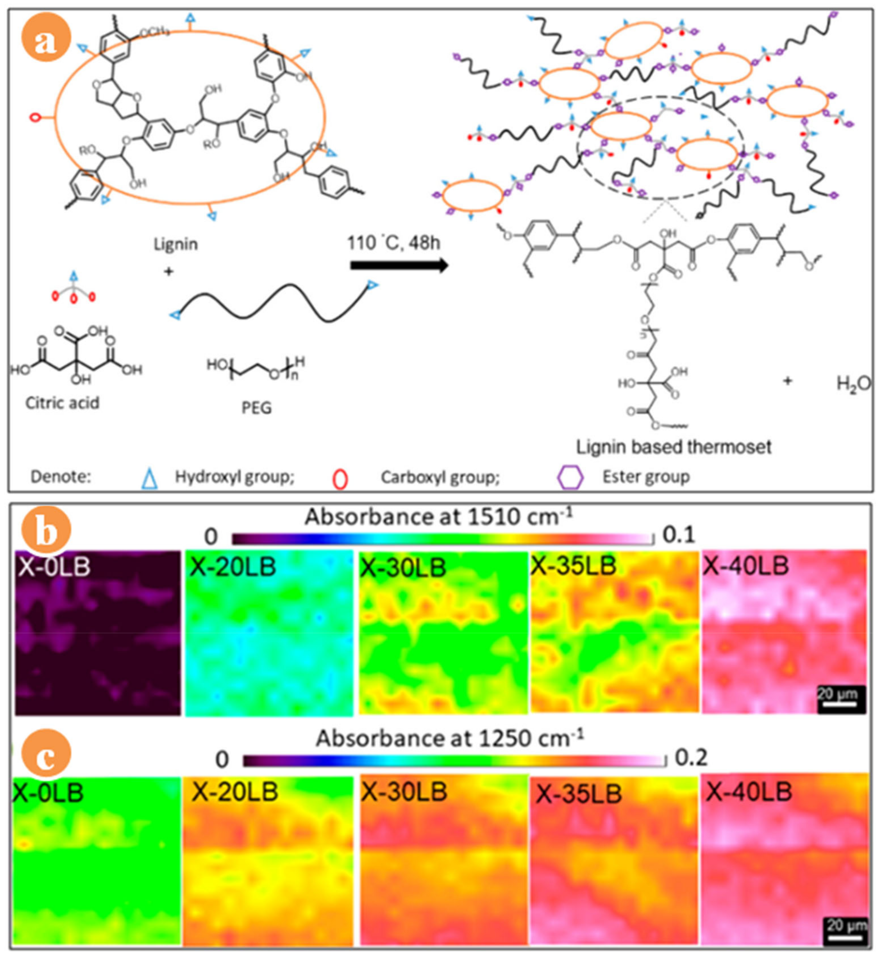 Polymers 13 01162 g004 Polymers 13 01162 g004