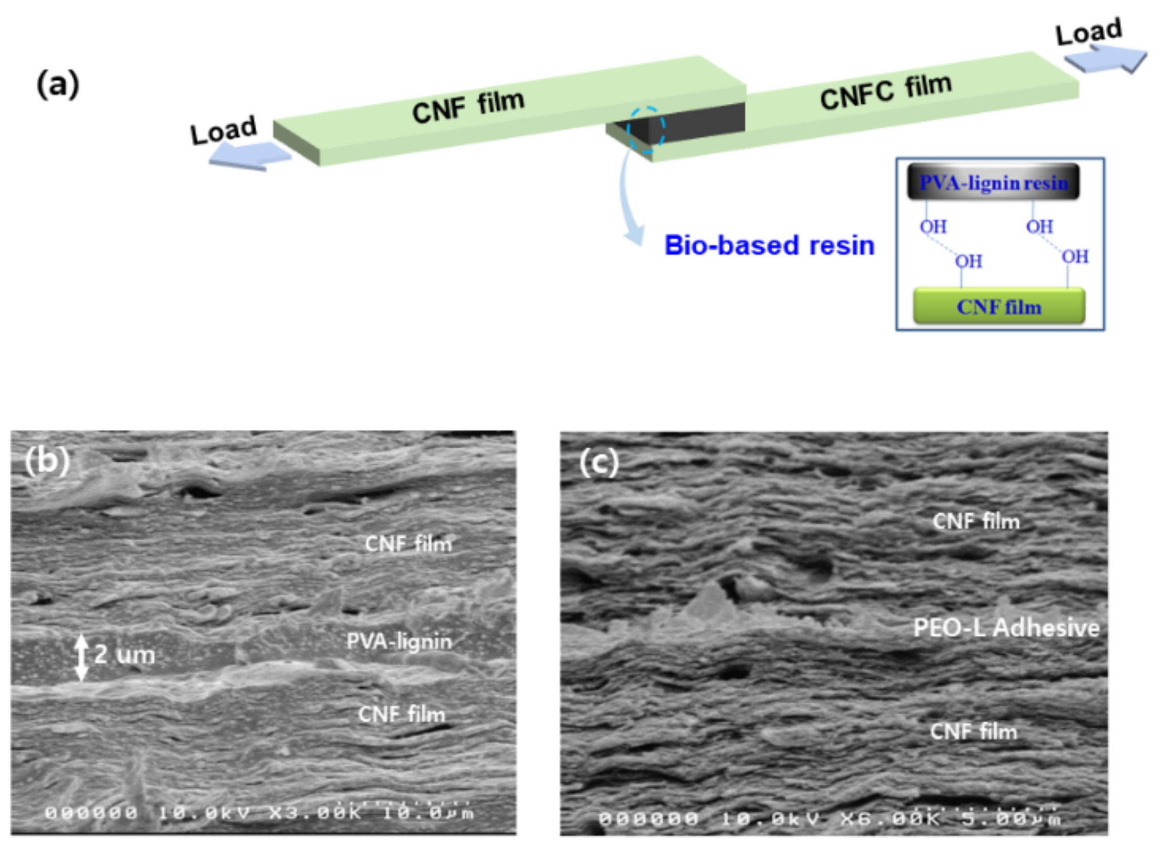 Polymers 13 01162 g012 Polymers 13 01162 g012
