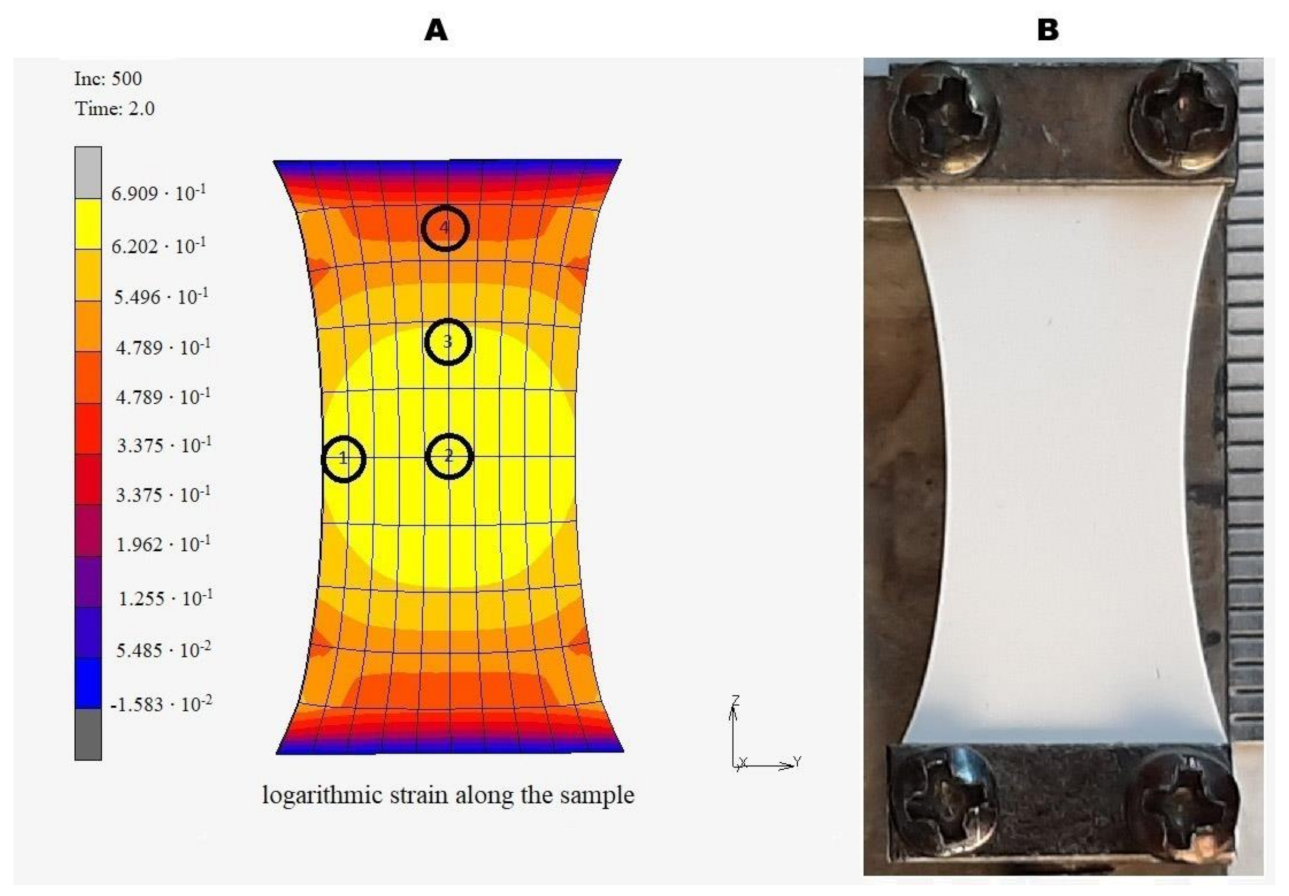 Polymers 13 01165 g002