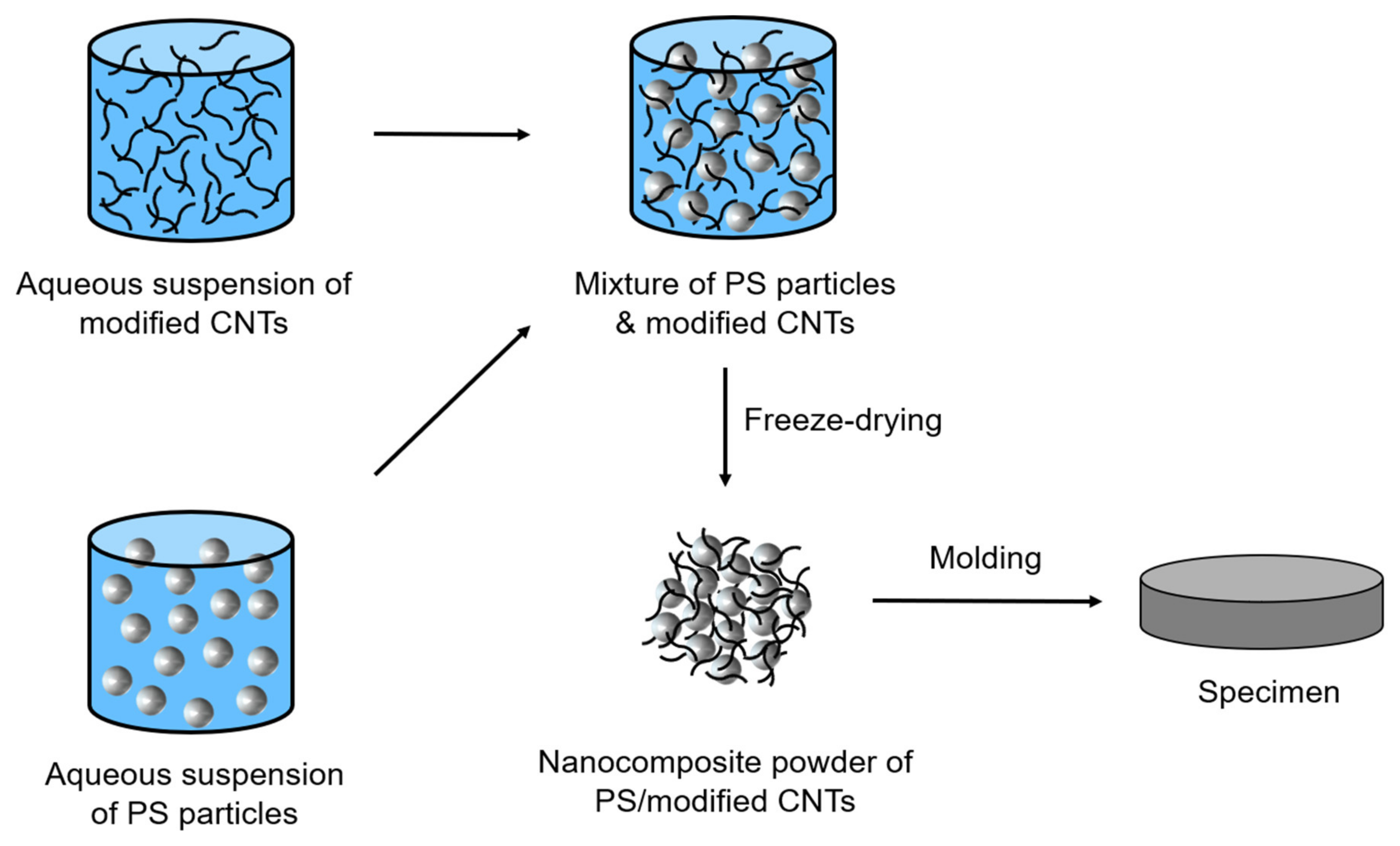 Polymers 13 01168 g003