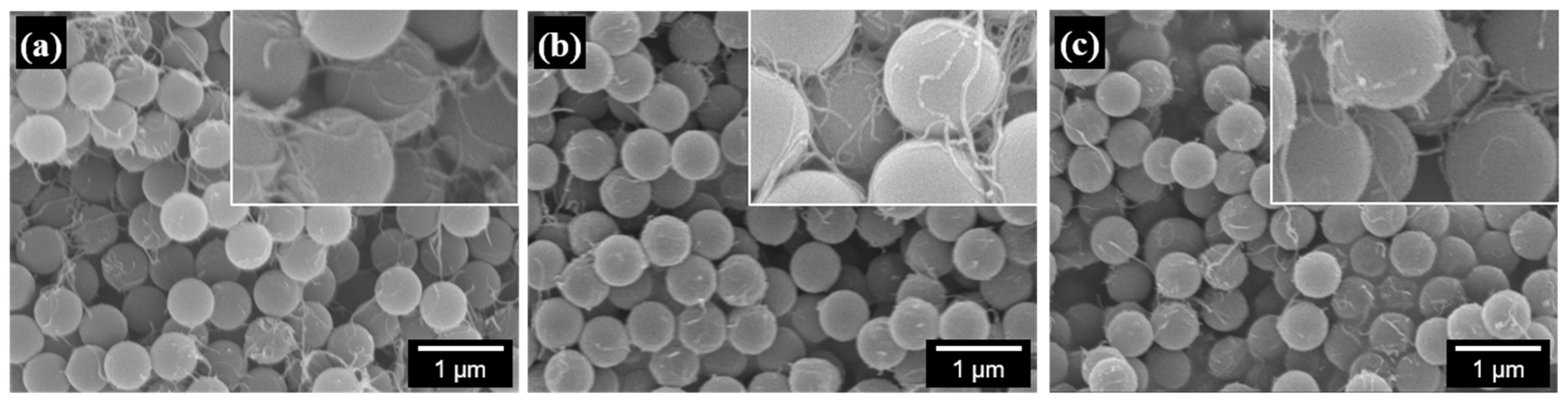 Polymers 13 01168 g007