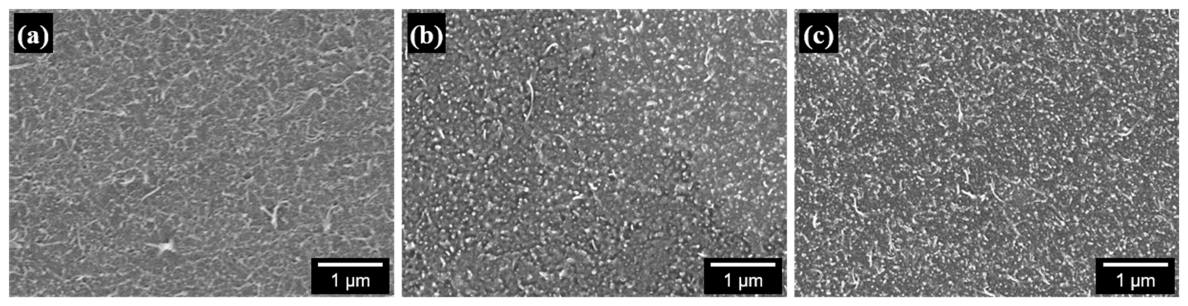 Polymers 13 01168 g008