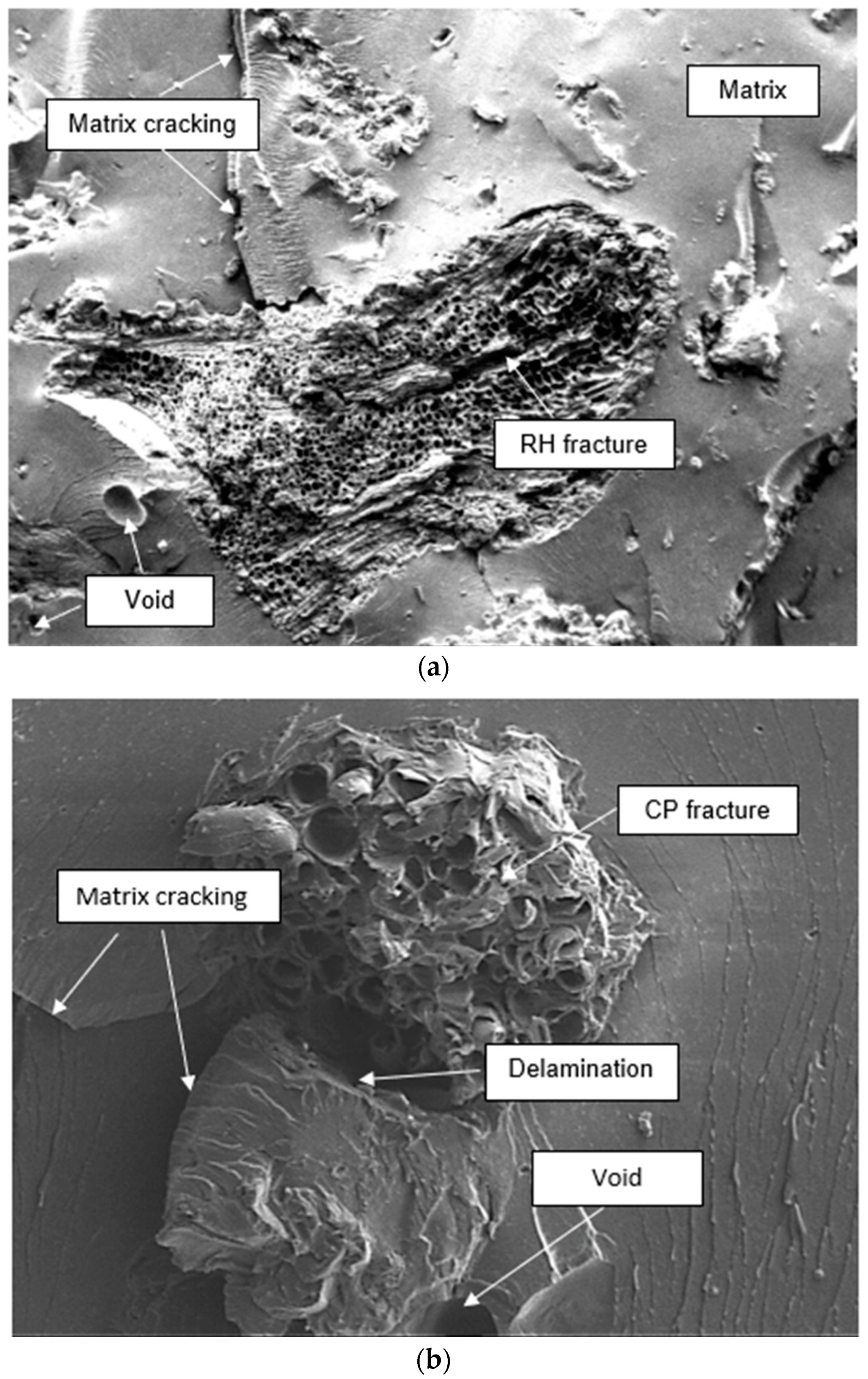 Polymers 13 01171 g008