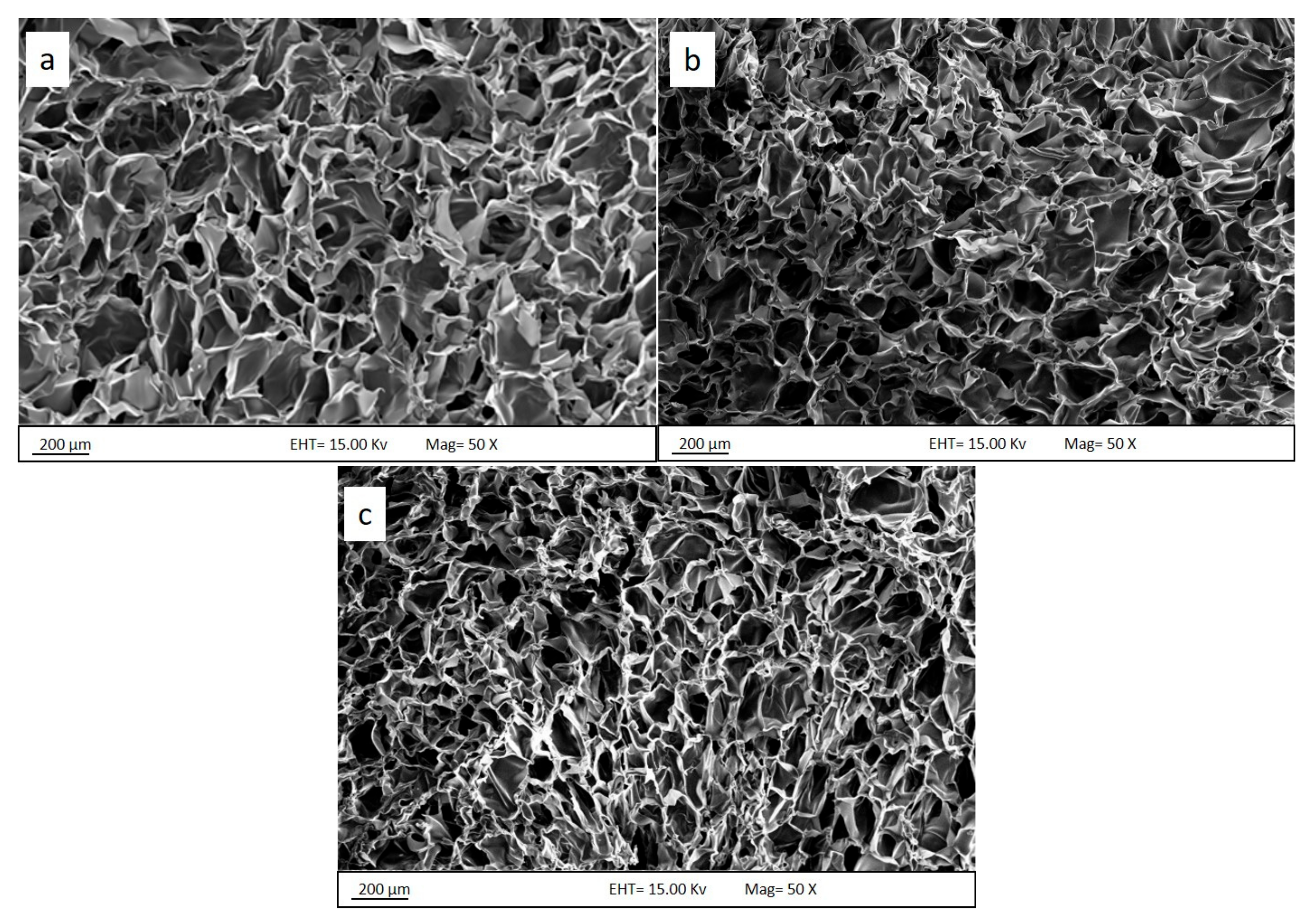 Polymers 13 01176 g005