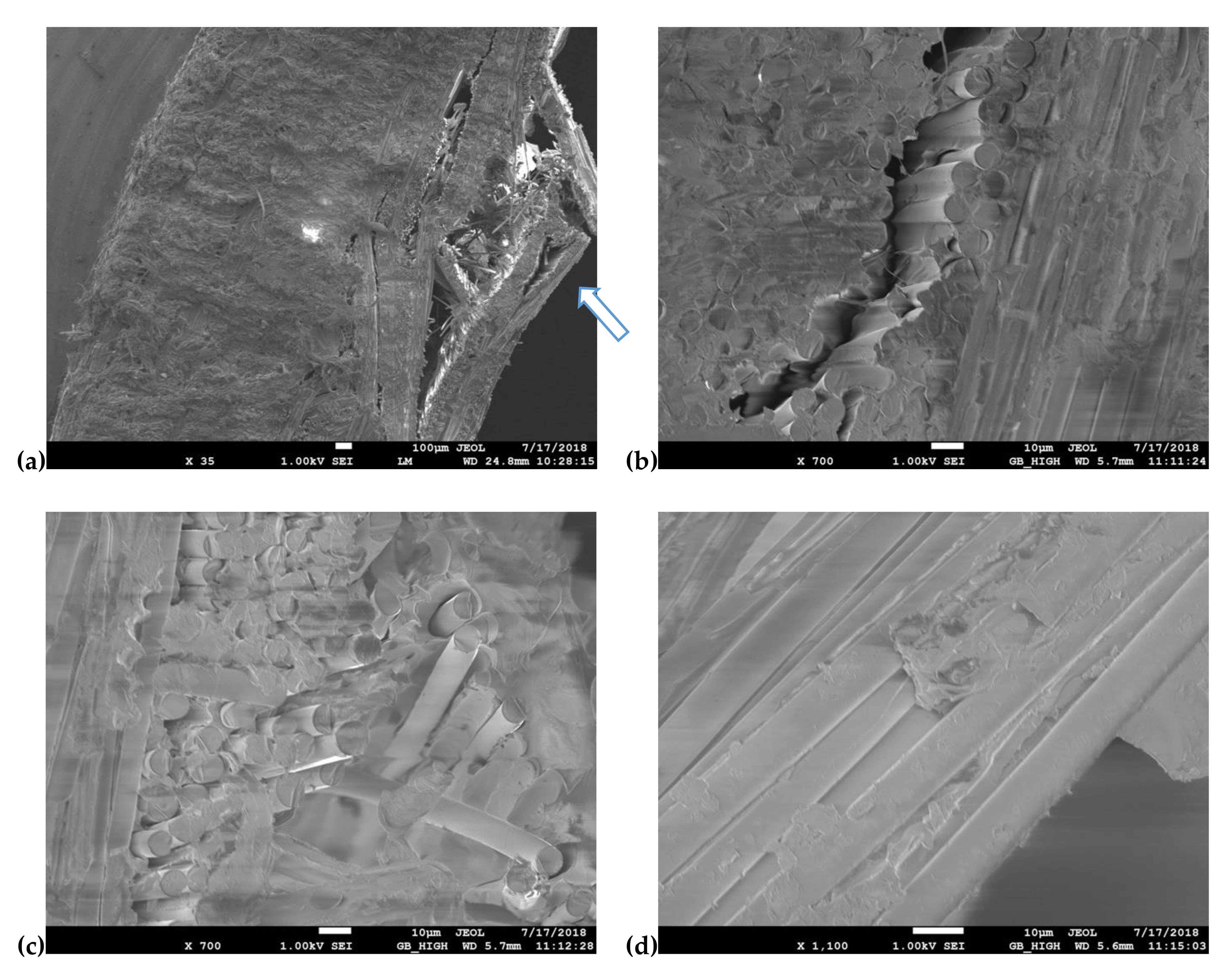 Polymers 13 01178 g014 Polymers 13 01178 g014
