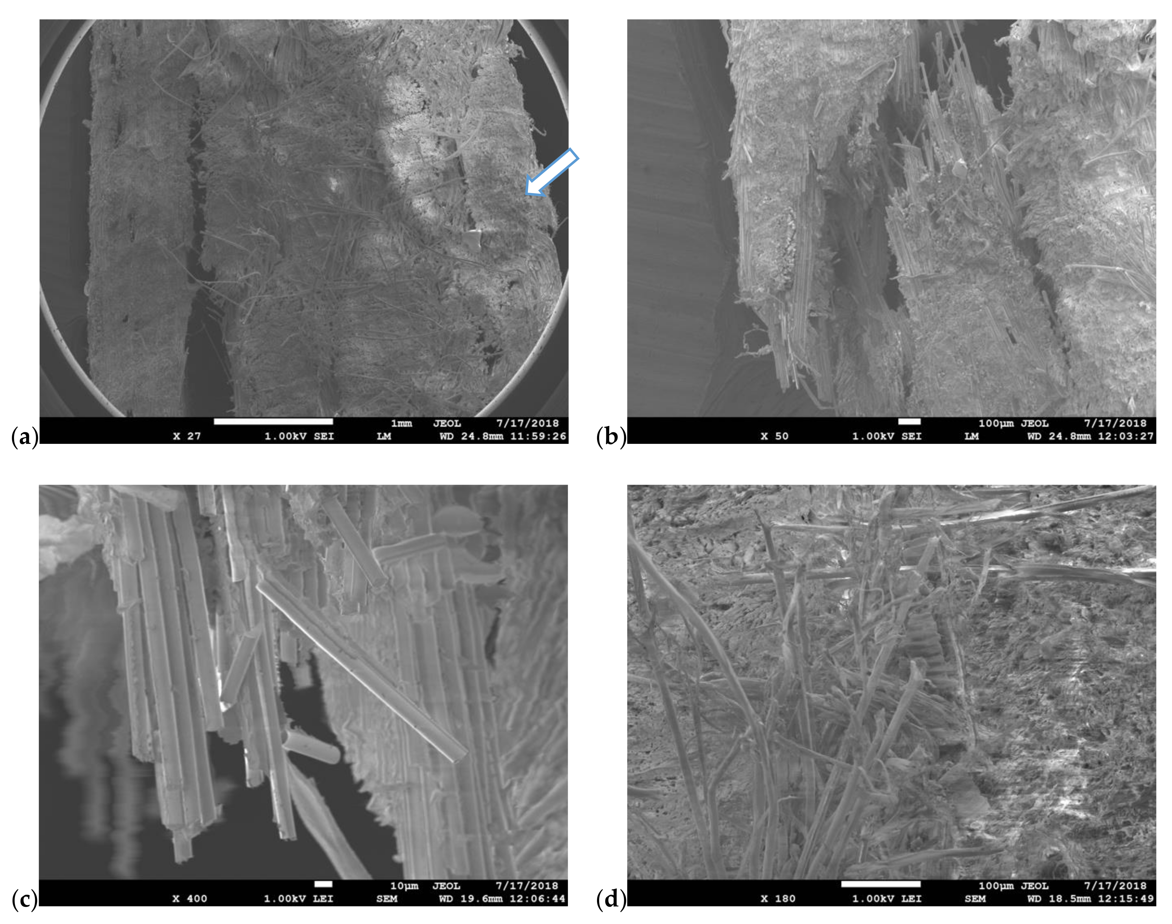 Polymers 13 01178 g015 Polymers 13 01178 g015