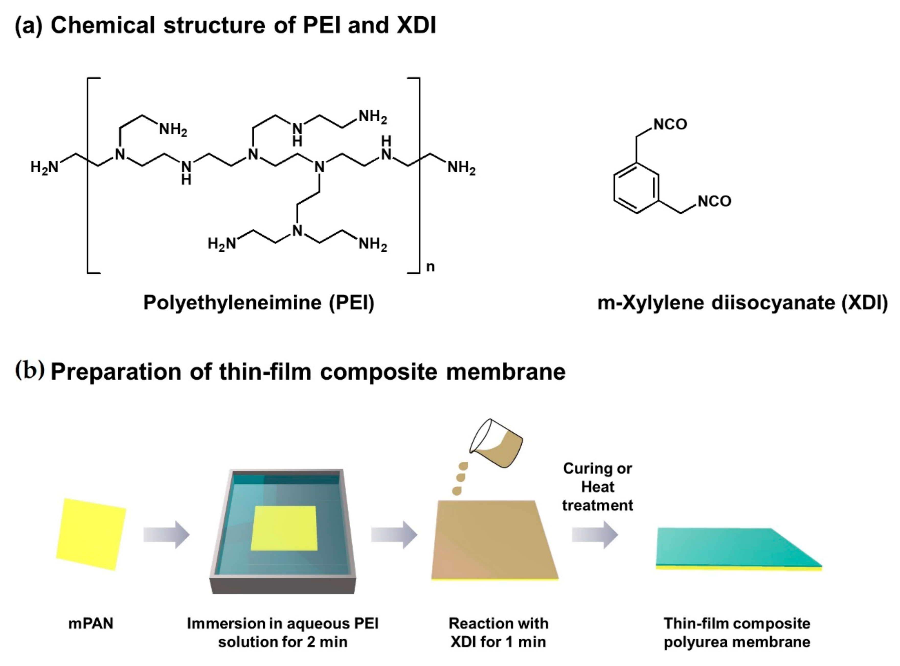 Polymers 13 01179 g001 Polymers 13 01179 g001