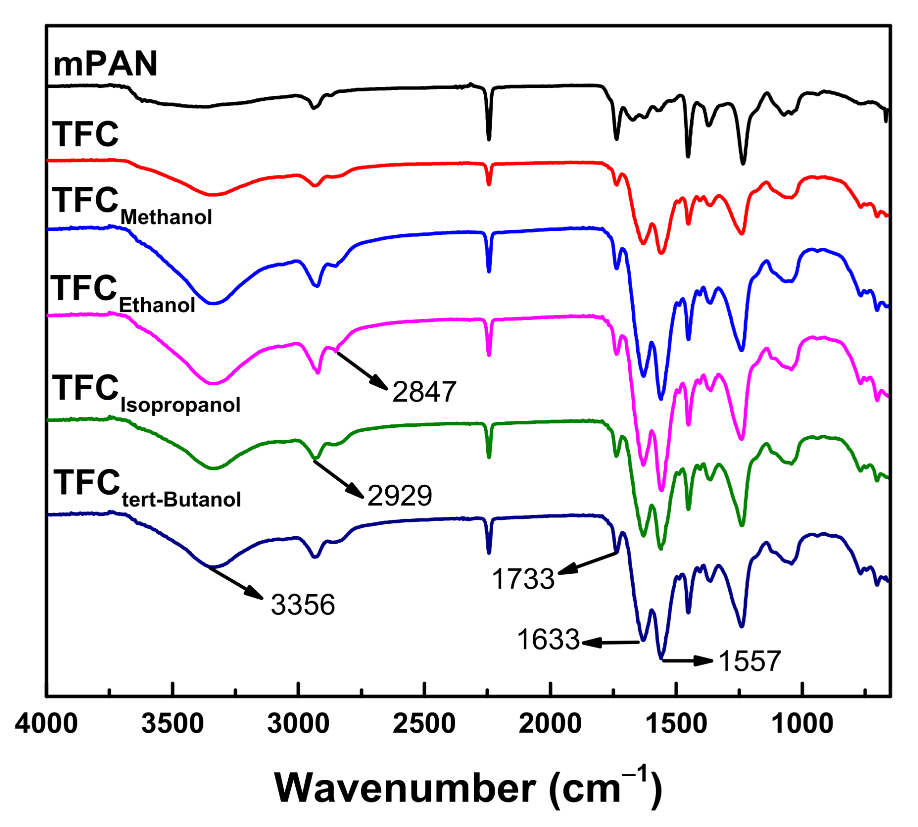 Polymers 13 01179 g002 Polymers 13 01179 g002