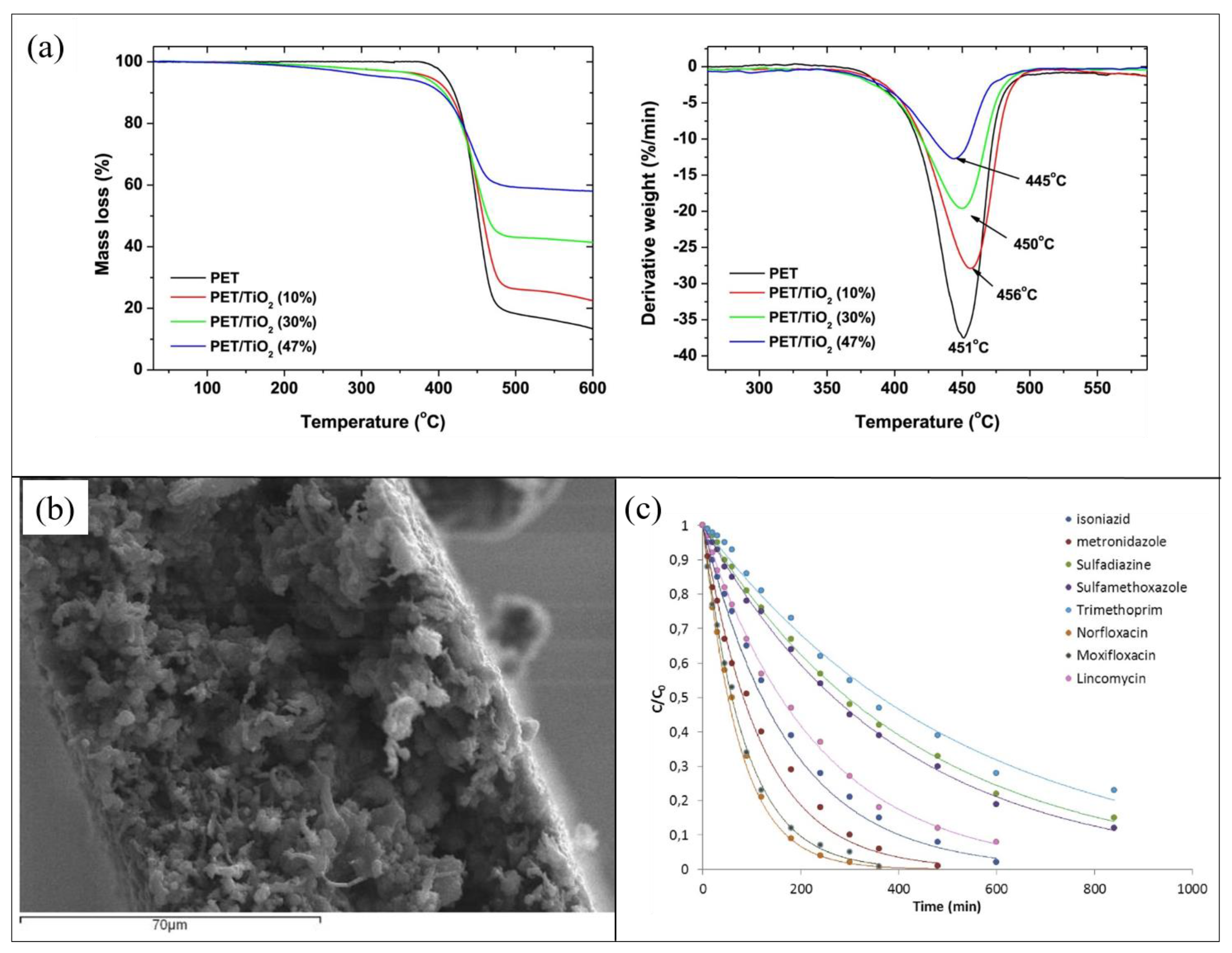 Polymers 13 01184 g002 Polymers 13 01184 g002
