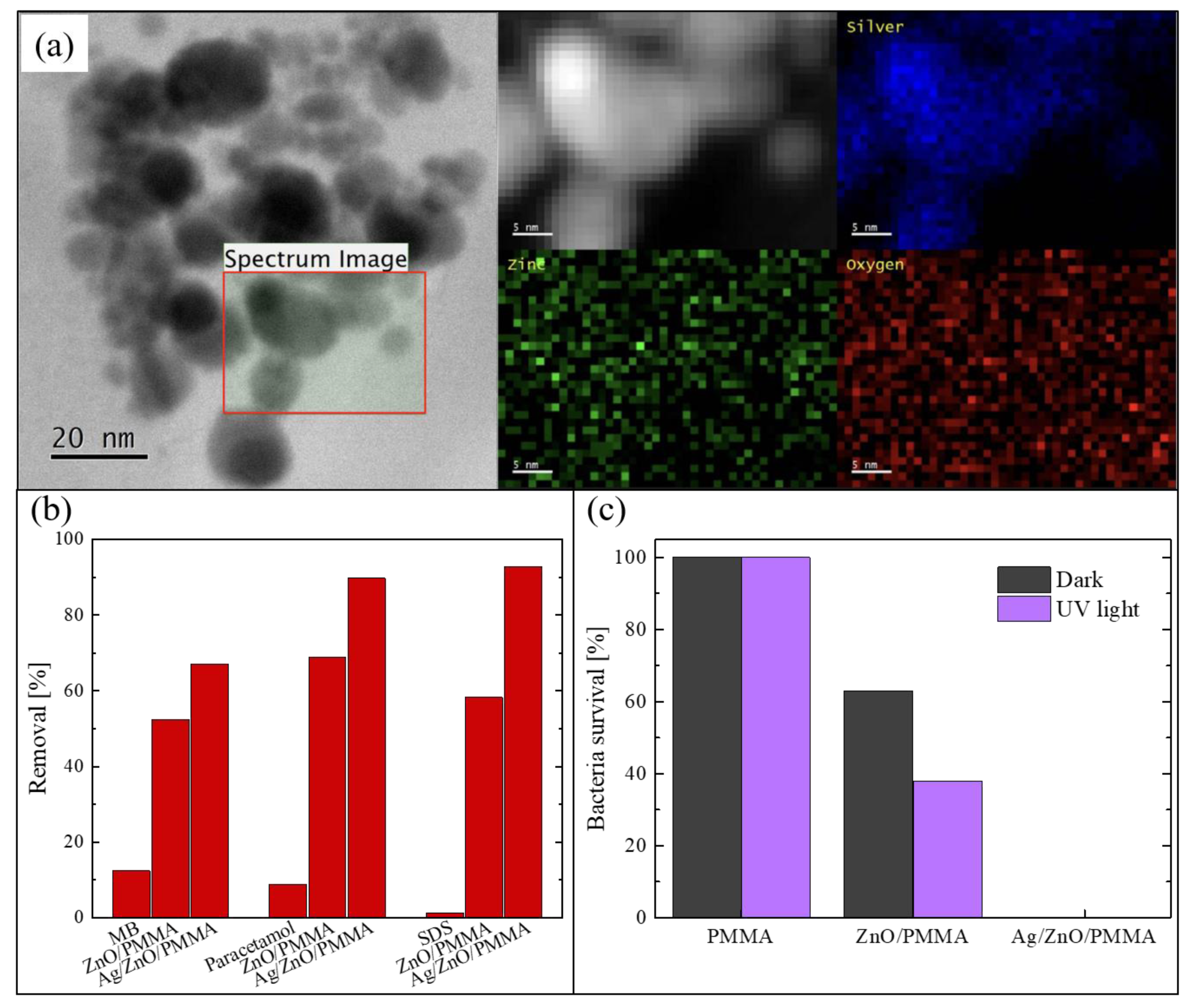 Polymers 13 01184 g006 Polymers 13 01184 g006
