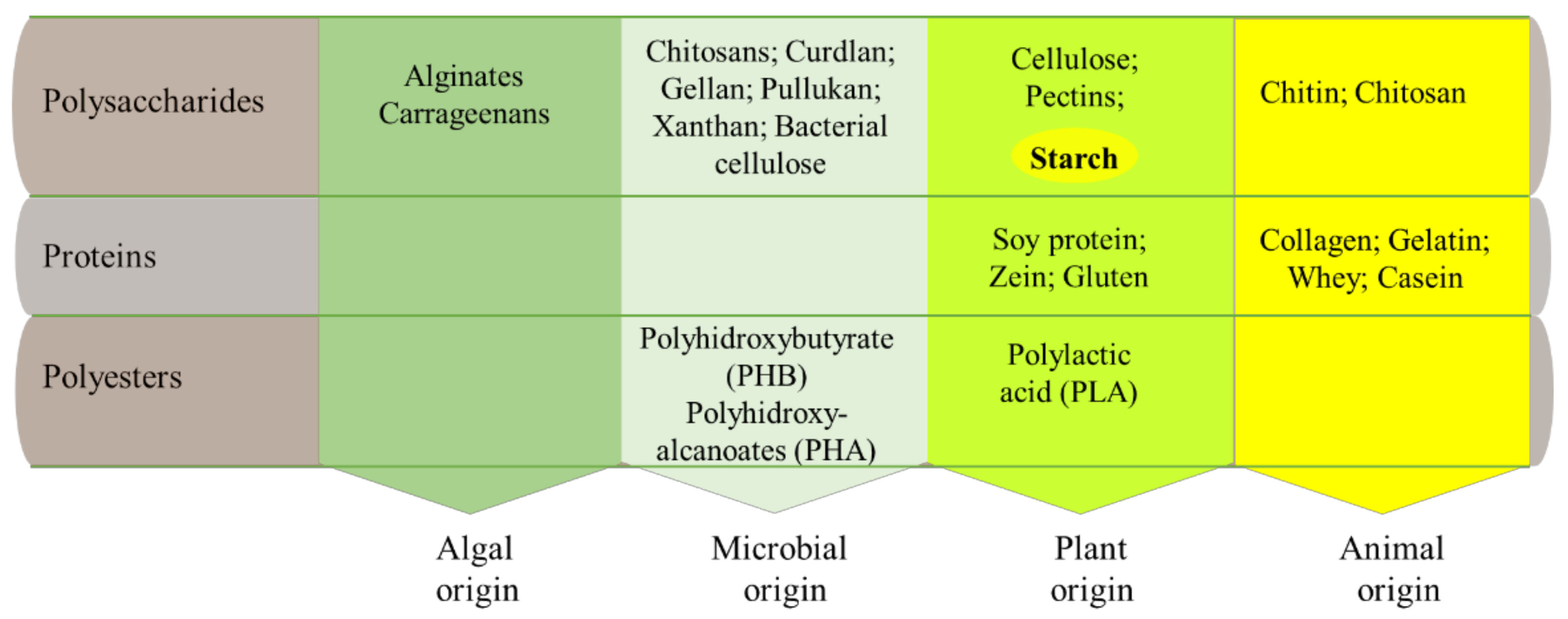 Polymers 13 01190 g002 Polymers 13 01190 g002