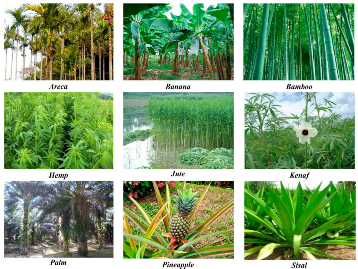 Polymers 13 01200 g005 Polymers 13 01200 g005