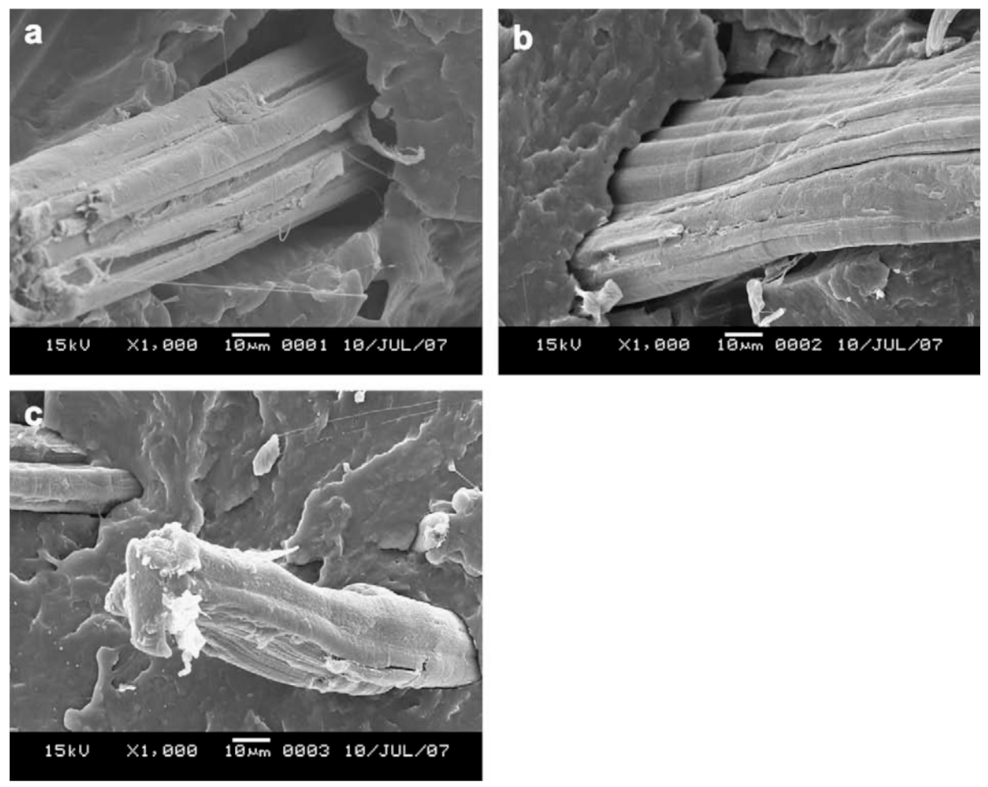 Polymers 13 01200 g012 Polymers 13 01200 g012