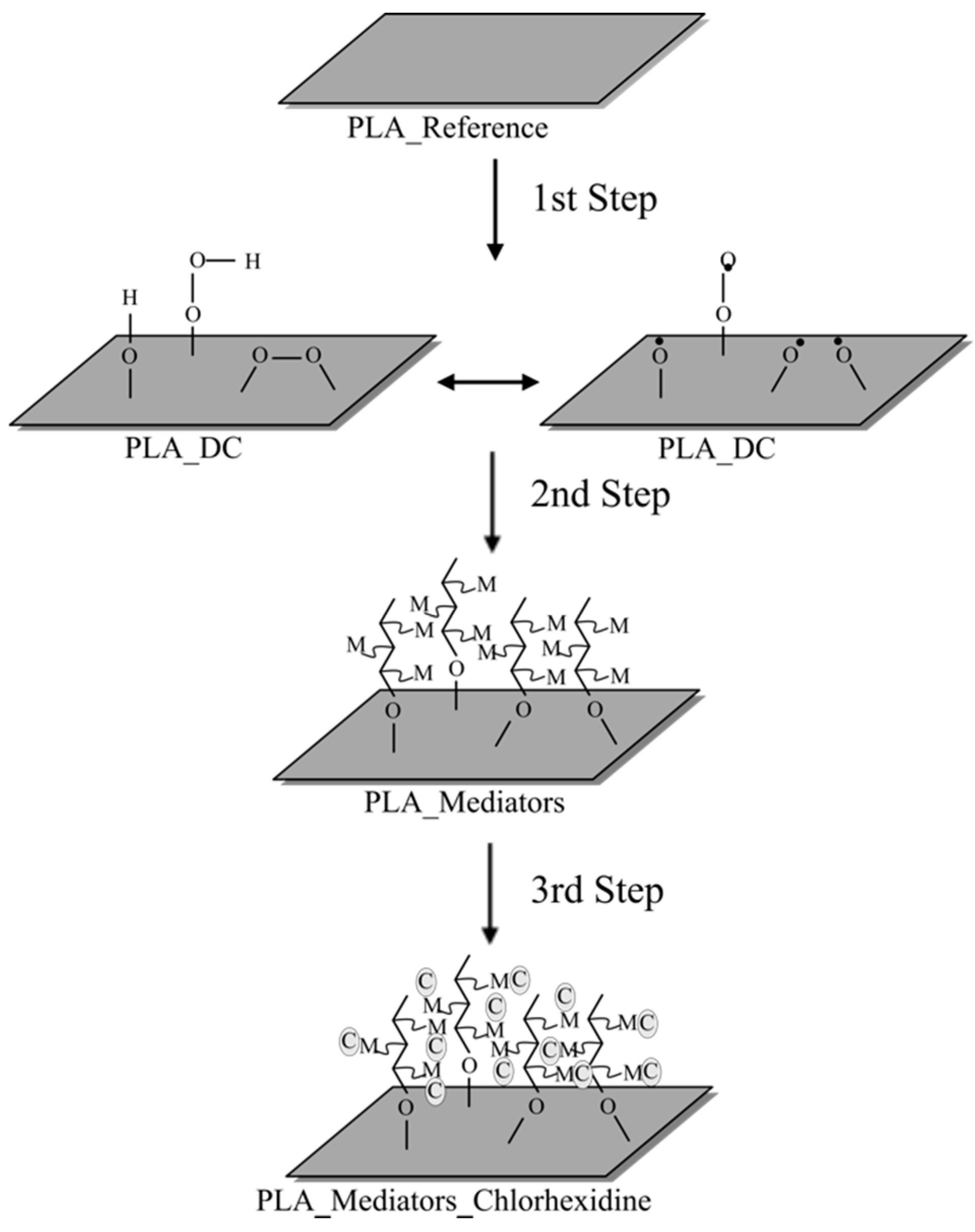 Polymers 13 01201 g002 Polymers 13 01201 g002