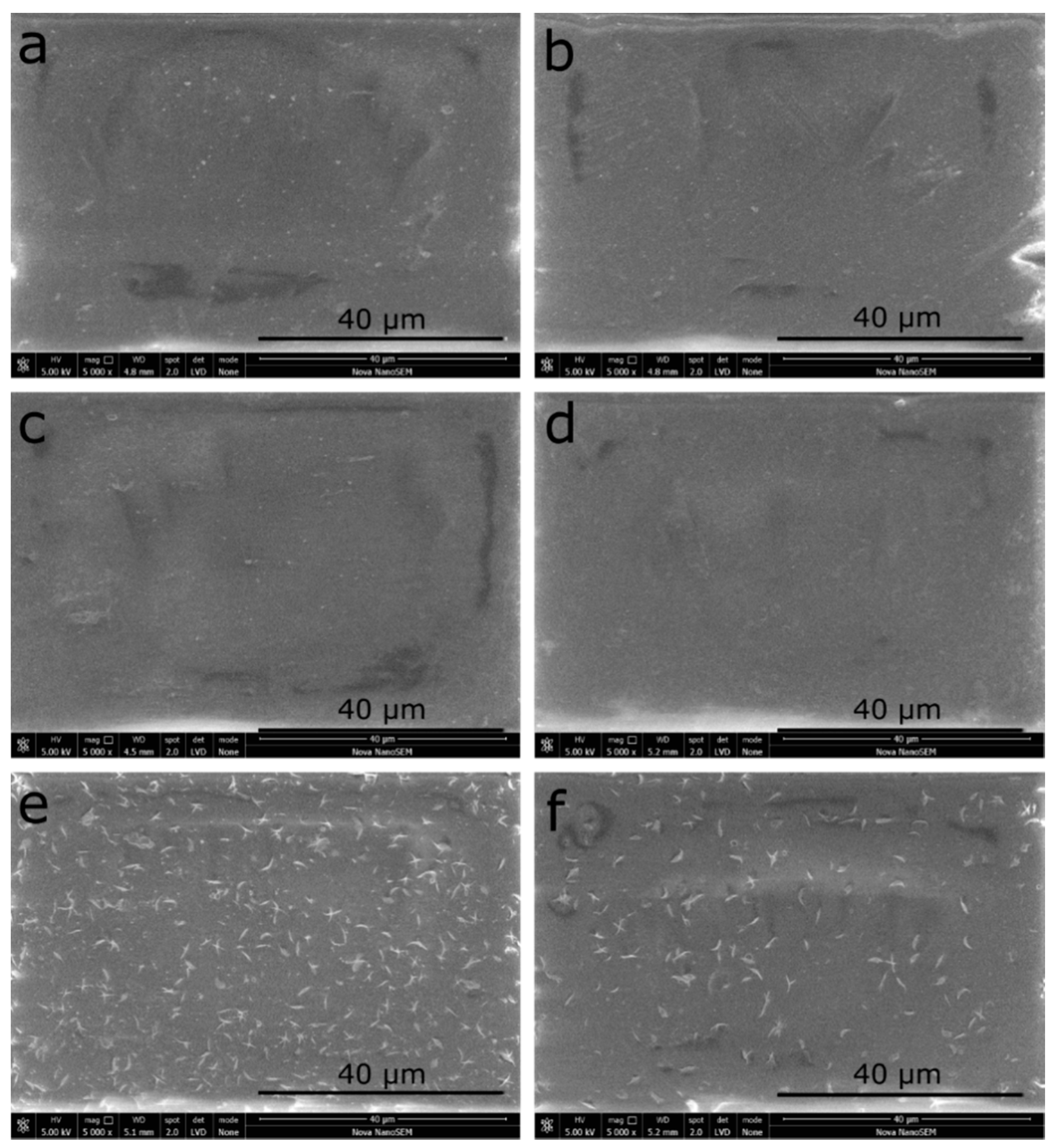 Polymers 13 01201 g004 Polymers 13 01201 g004
