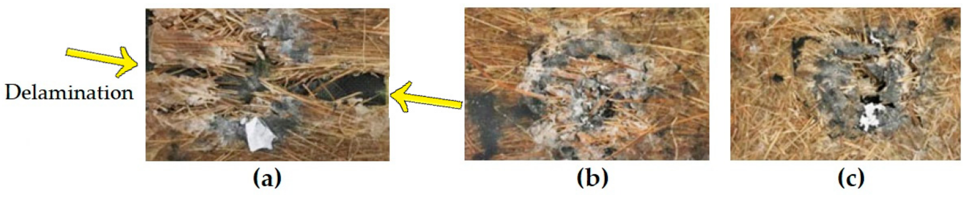 Polymers 13 01203 g008 Polymers 13 01203 g008