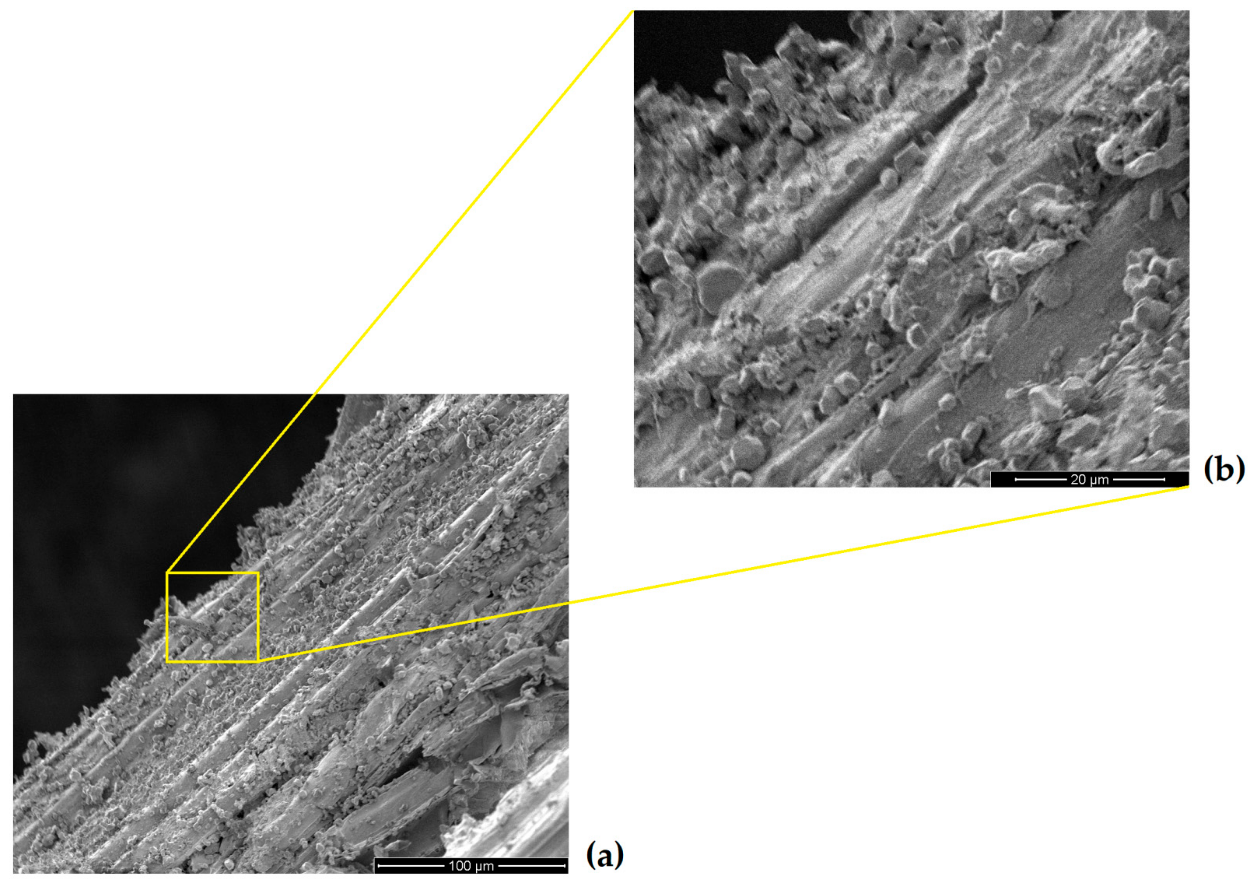 Polymers 13 01203 g009 Polymers 13 01203 g009