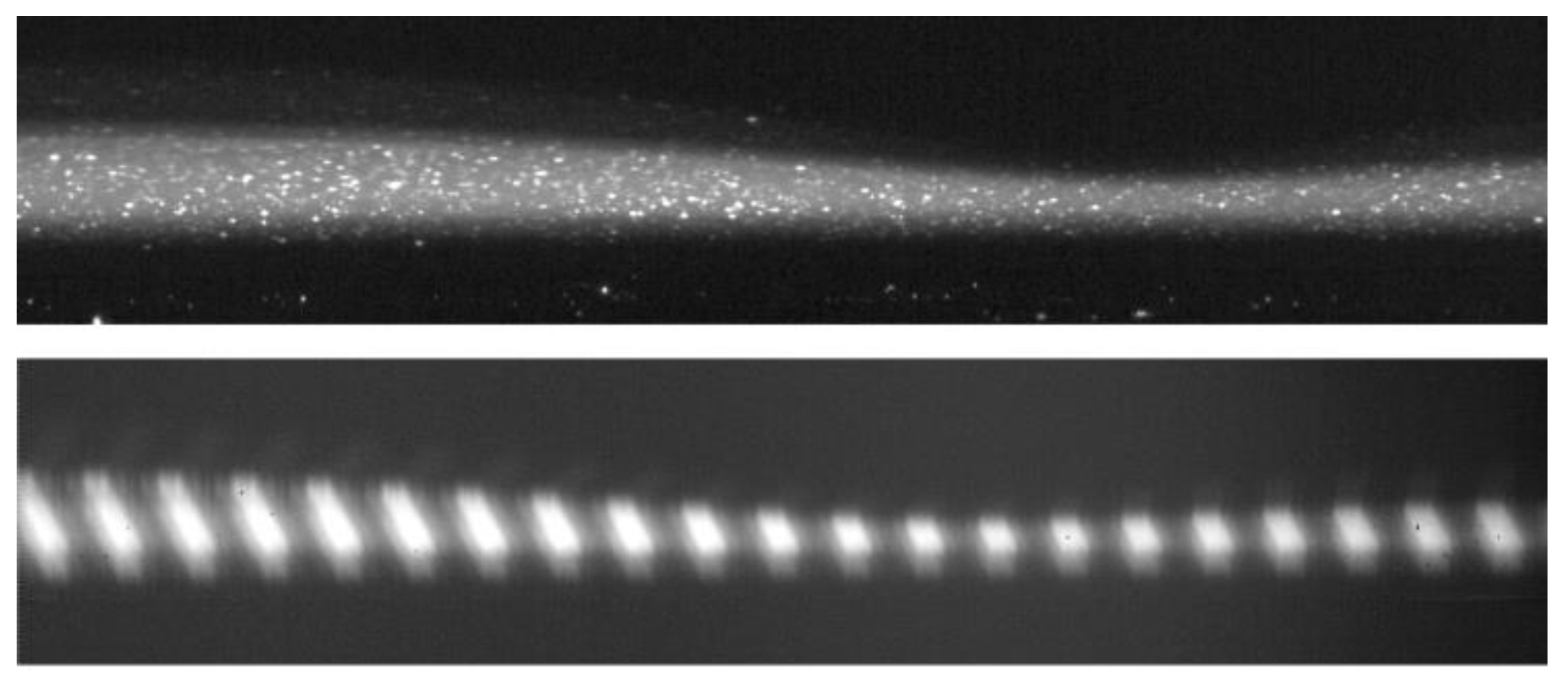Polymers 13 01205 g005 Polymers 13 01205 g005