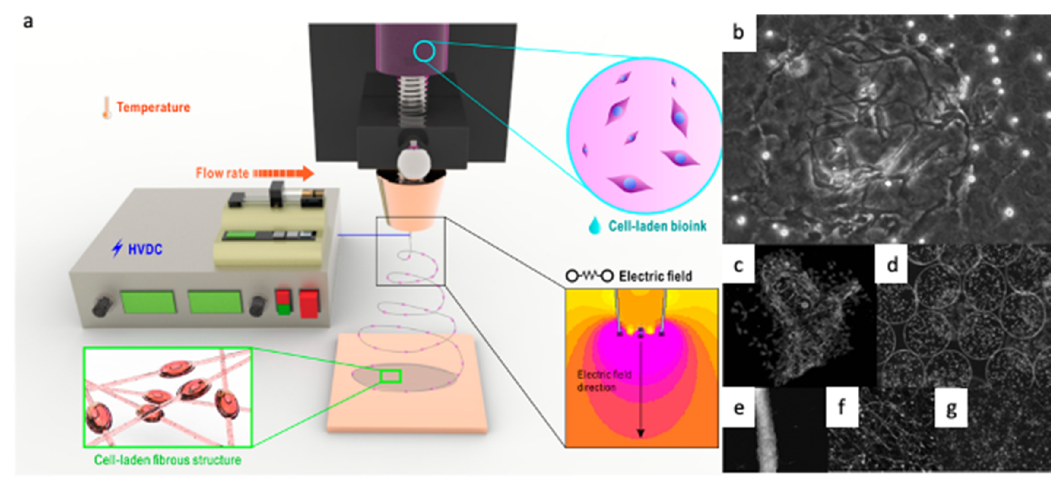 Polymers 13 01209 g002