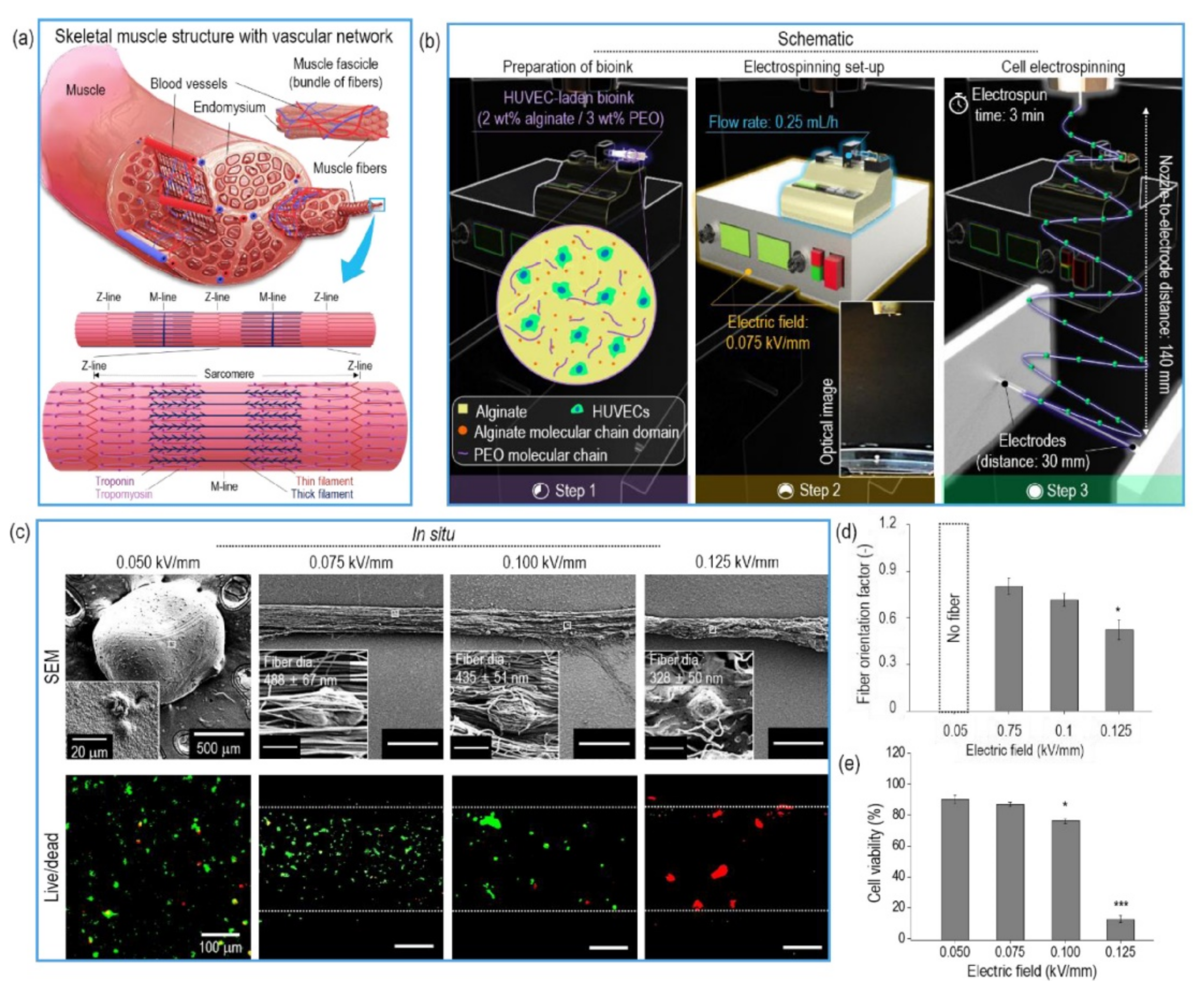 Polymers 13 01209 g003